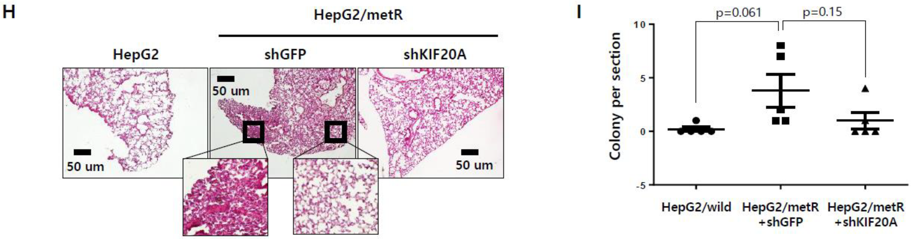 Cancers 11 00274 g005c