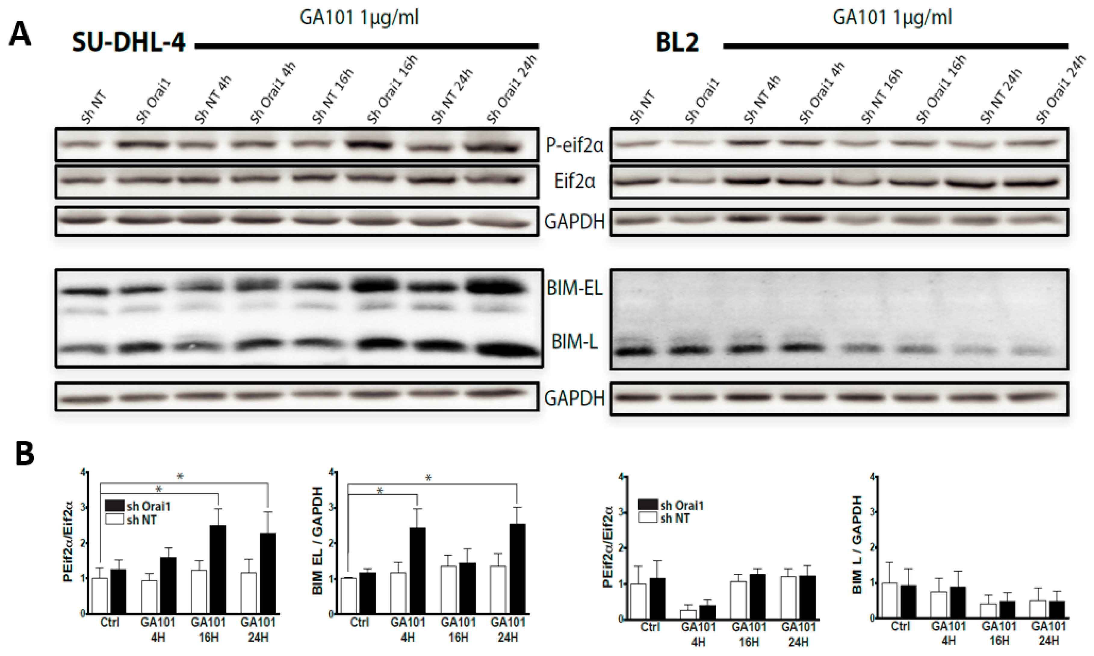 Cancers 11 00291 g003