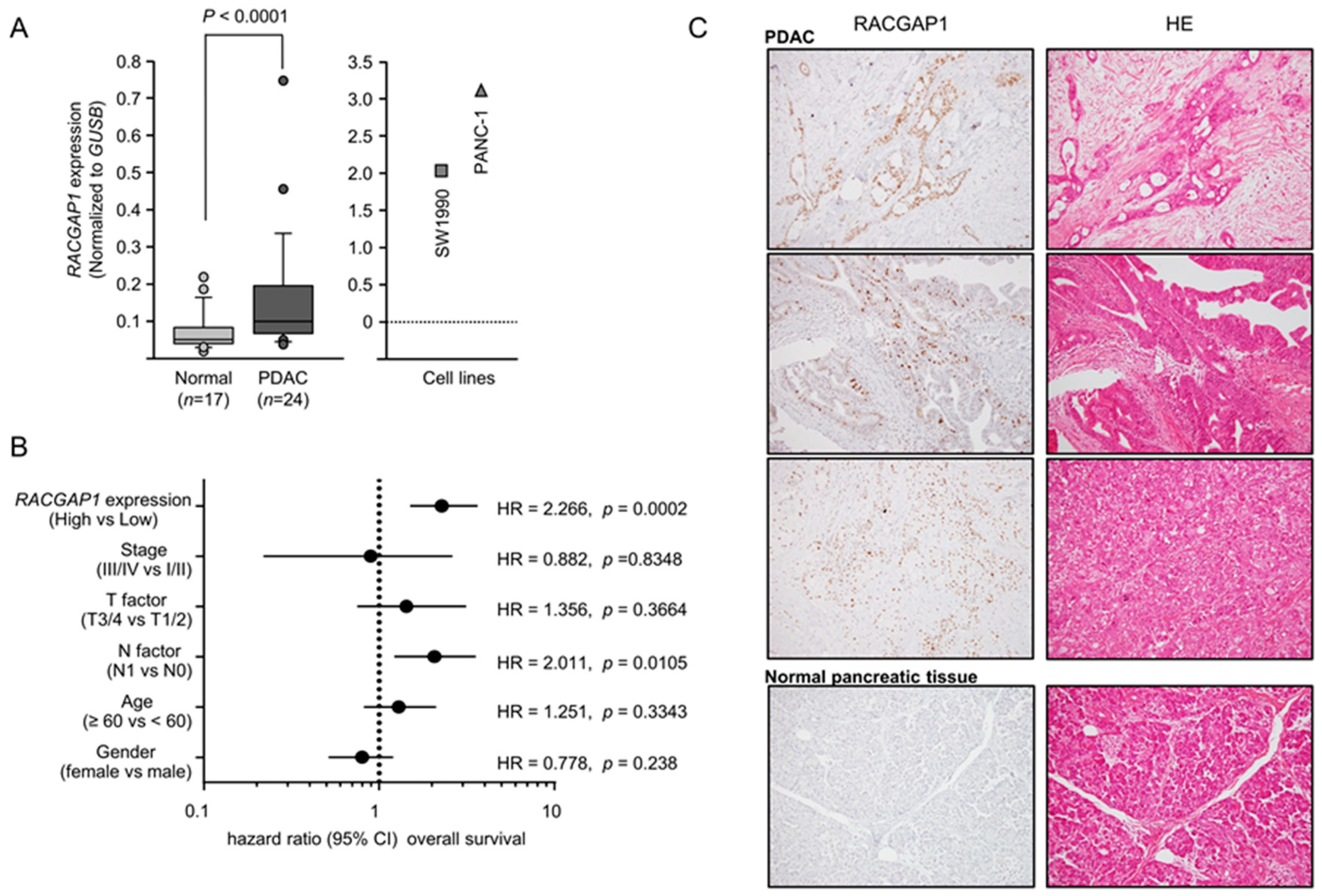 Cancers 11 00327 g003