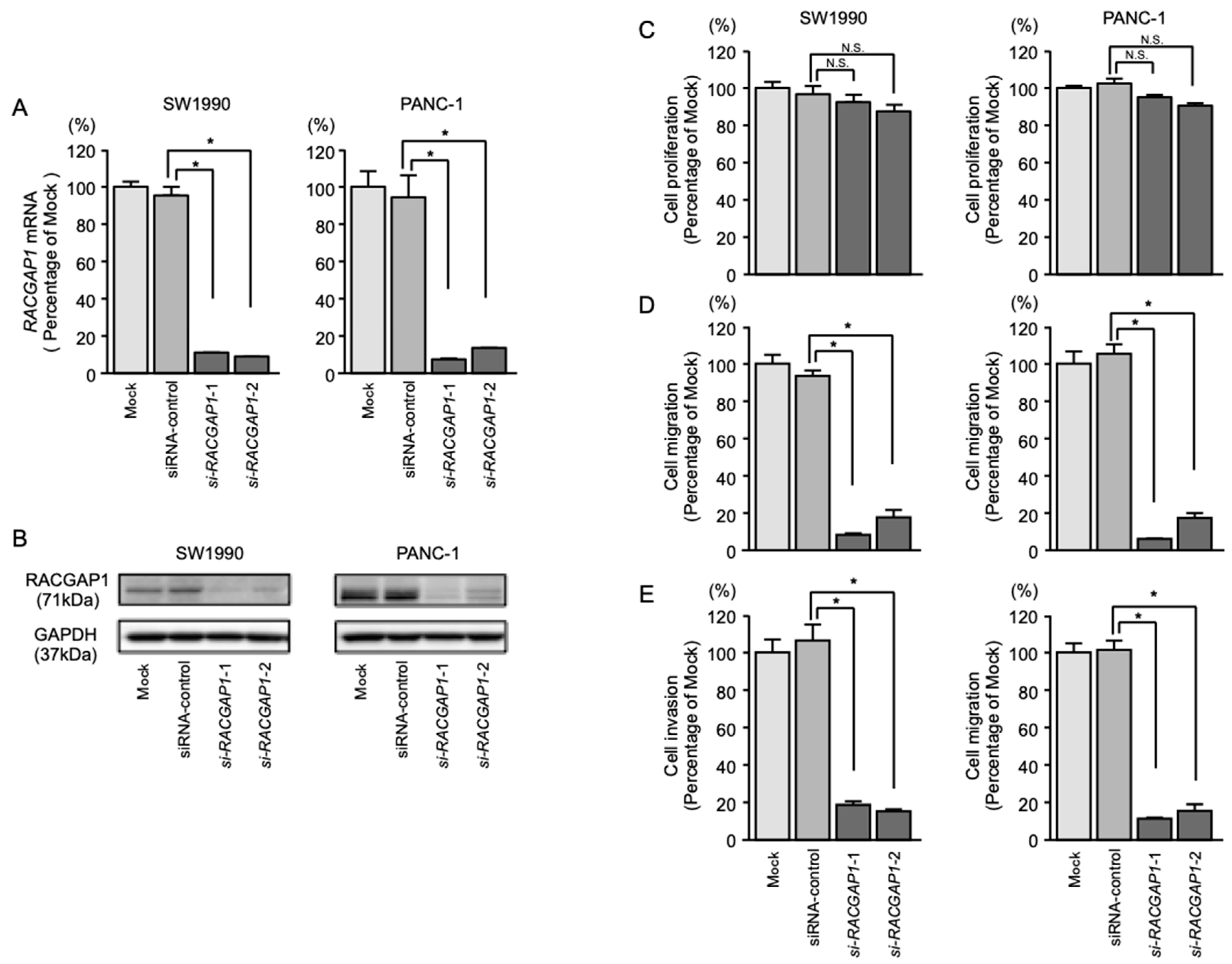 Cancers 11 00327 g005