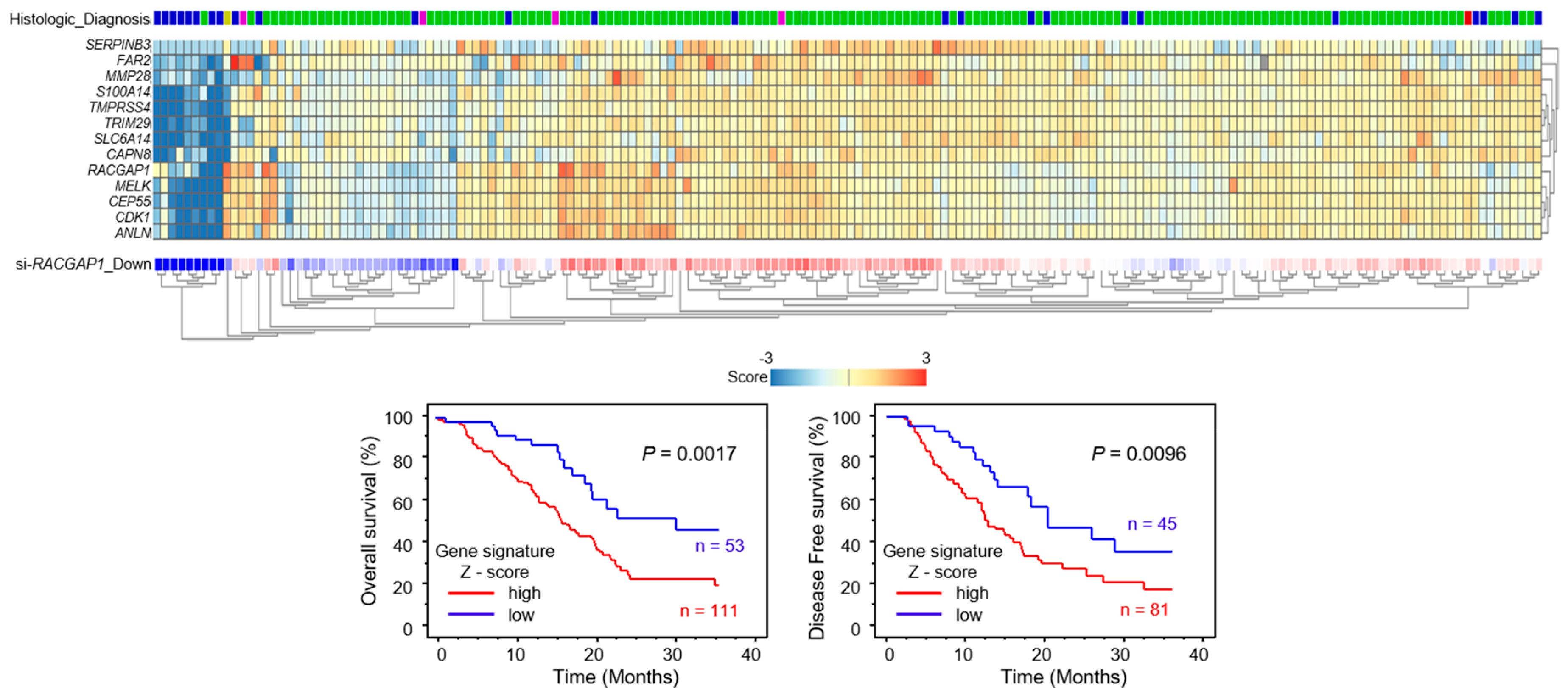 Cancers 11 00327 g007