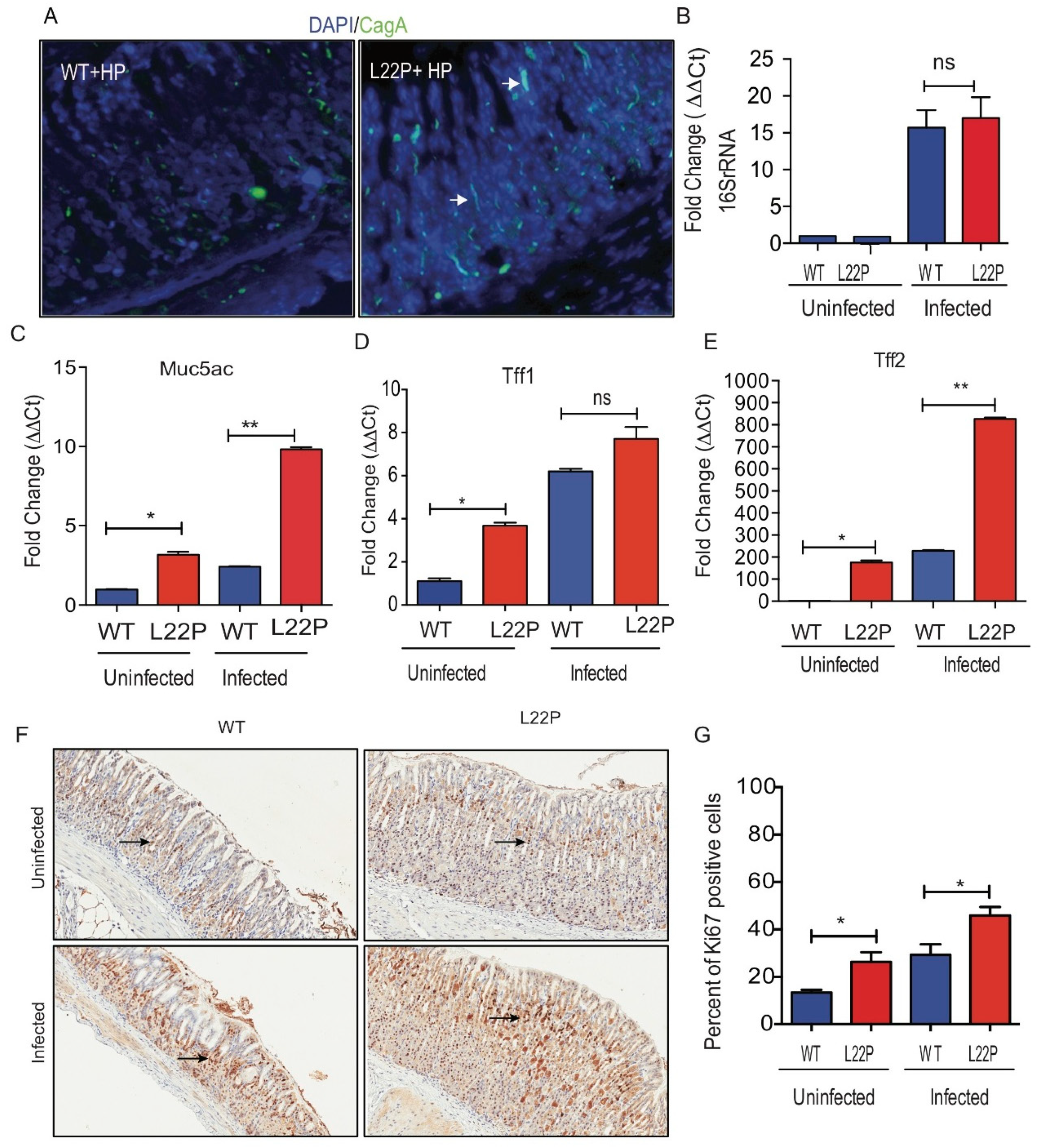 Cancers 11 00843 g001