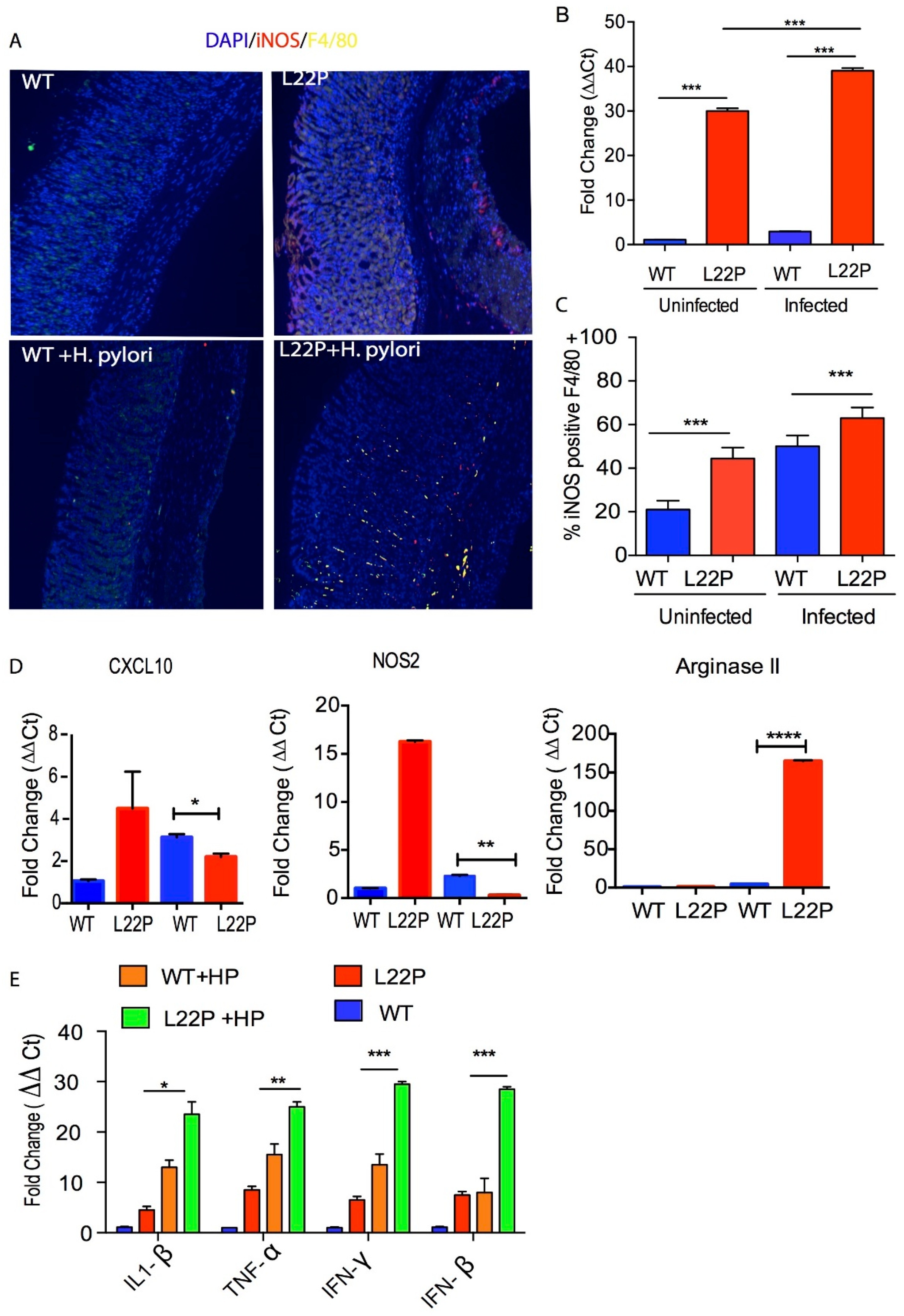 Cancers 11 00843 g003