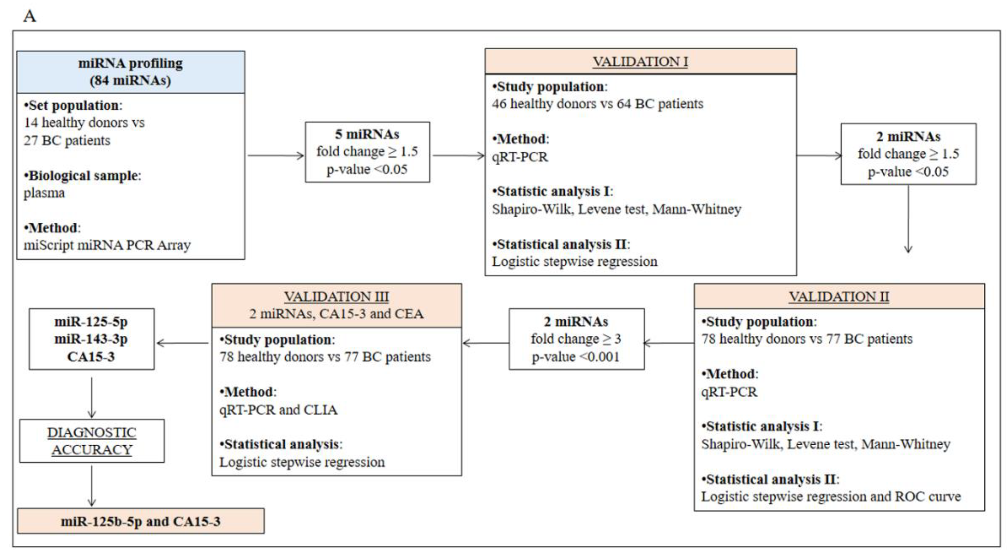 Cancers 11 00876 g001a