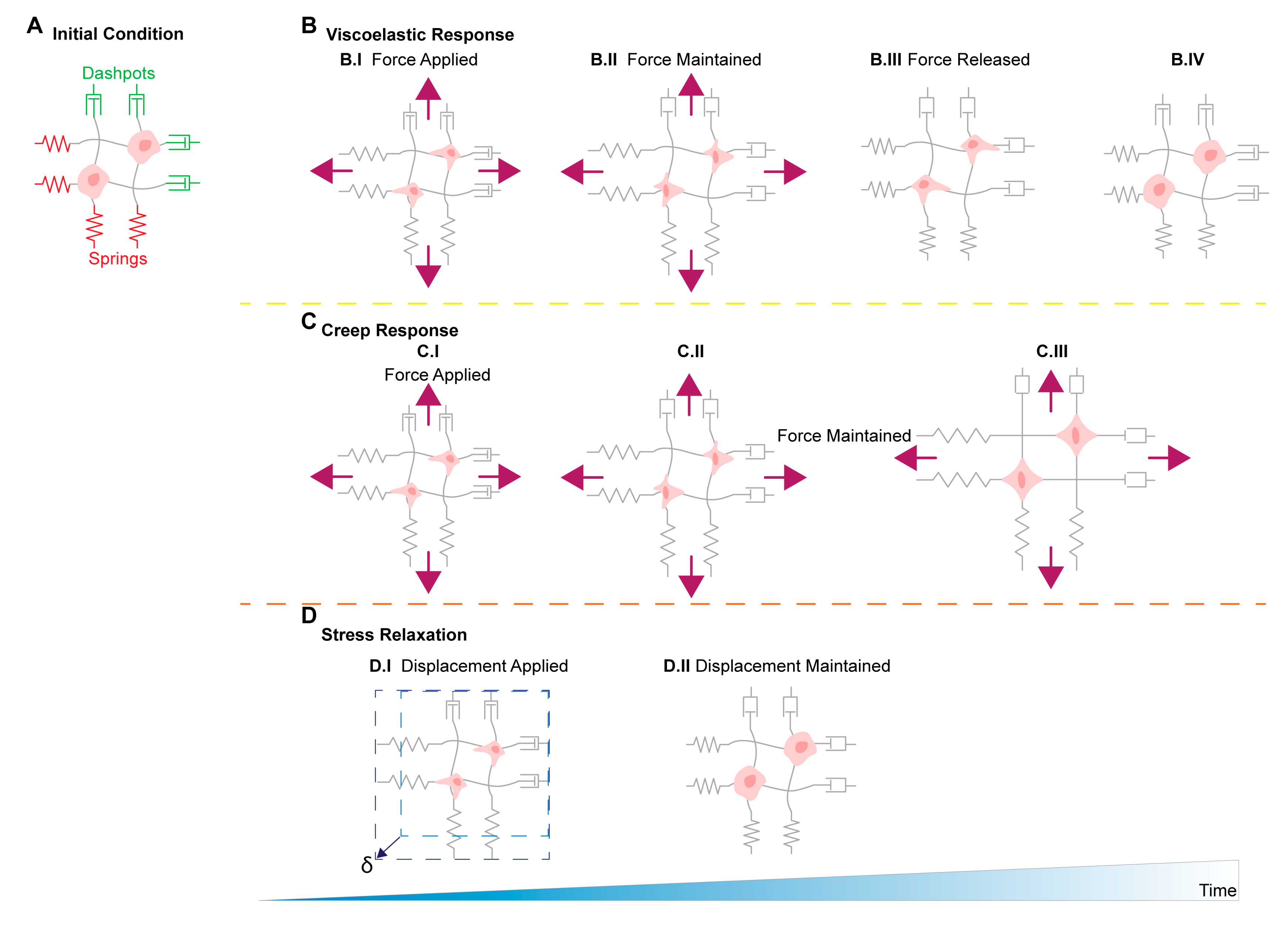 Cancers 11 01008 g002