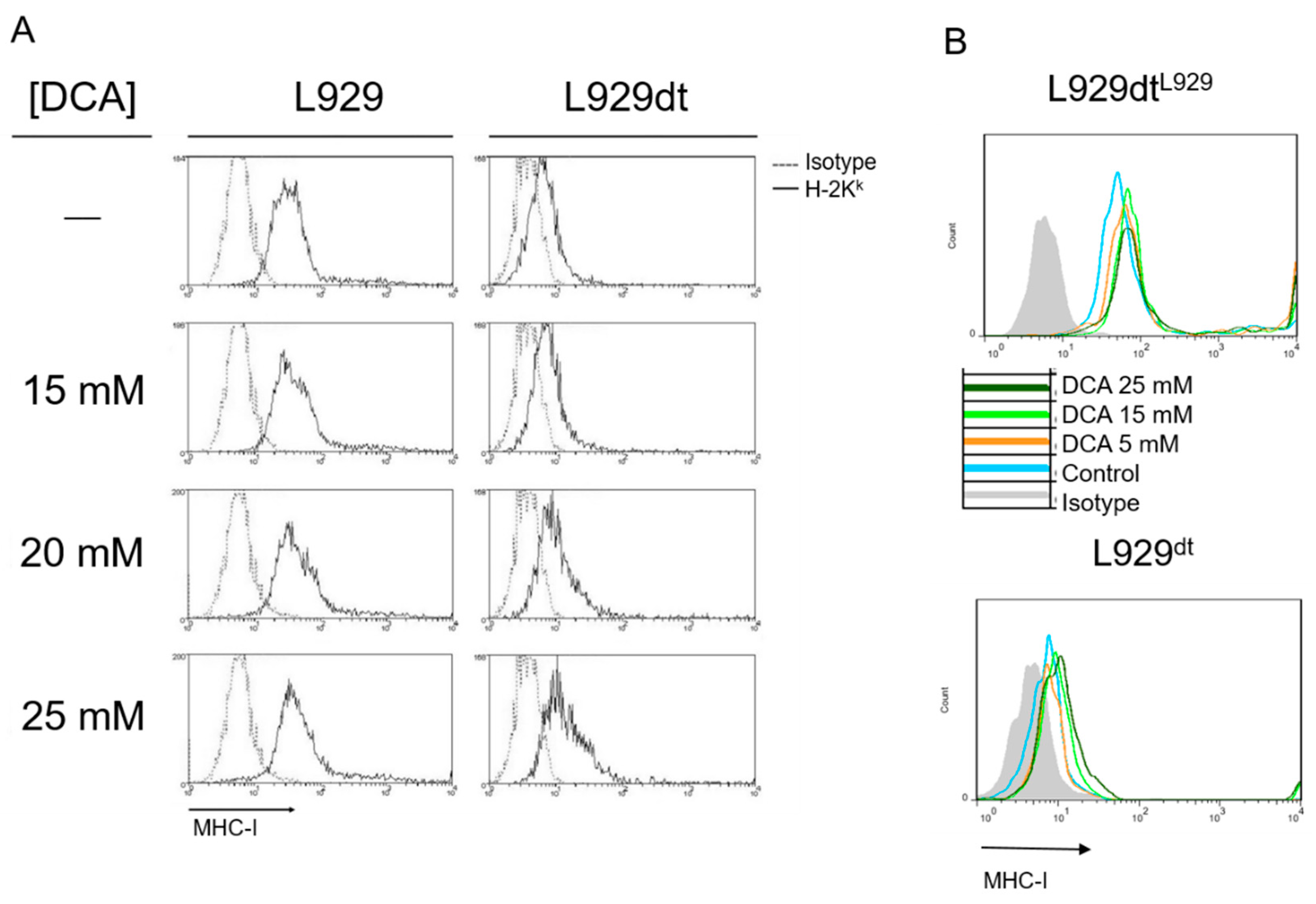 Cancers 11 01027 g009 Cancers 11 01027 g009