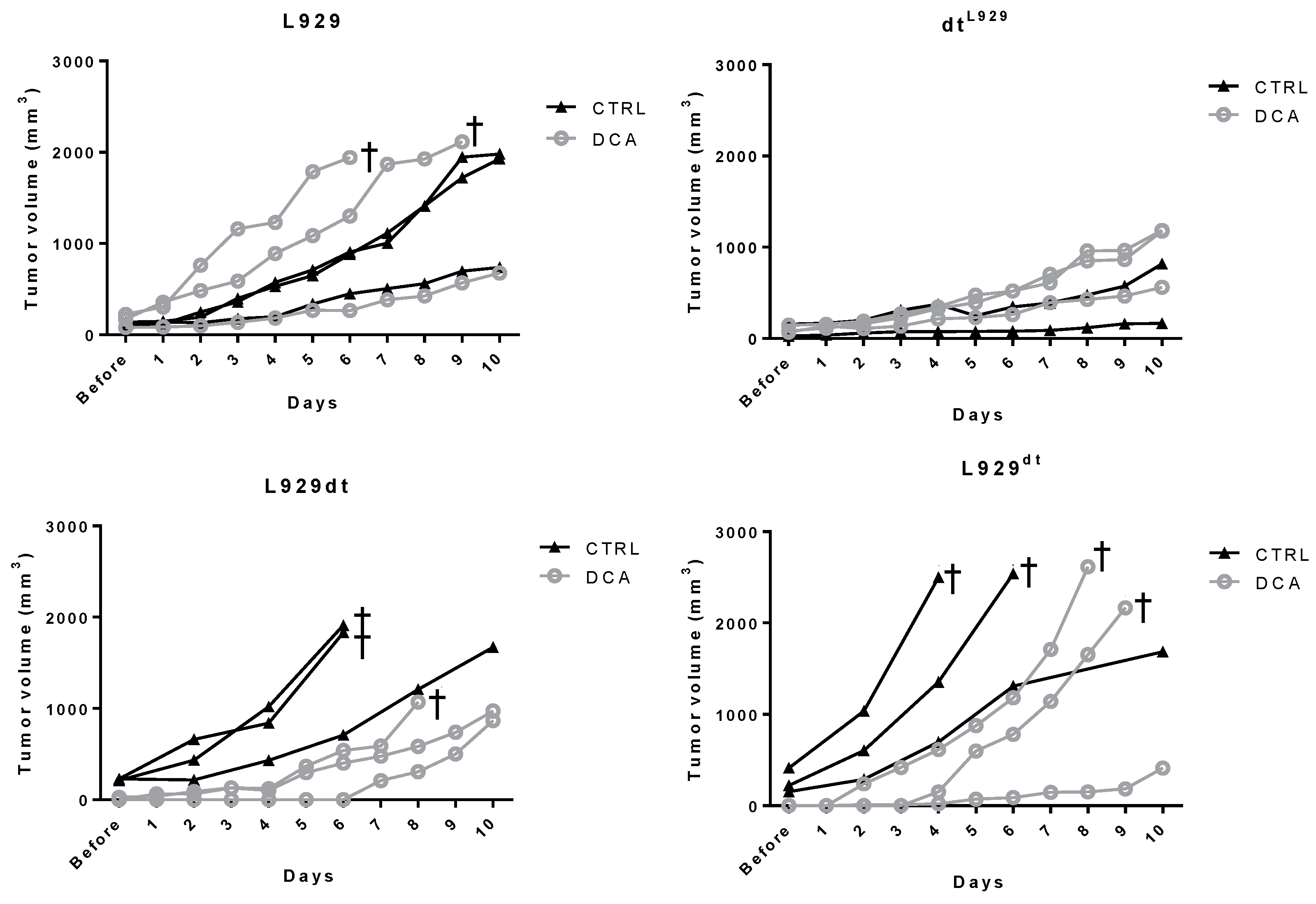 Cancers 11 01027 g010 Cancers 11 01027 g010
