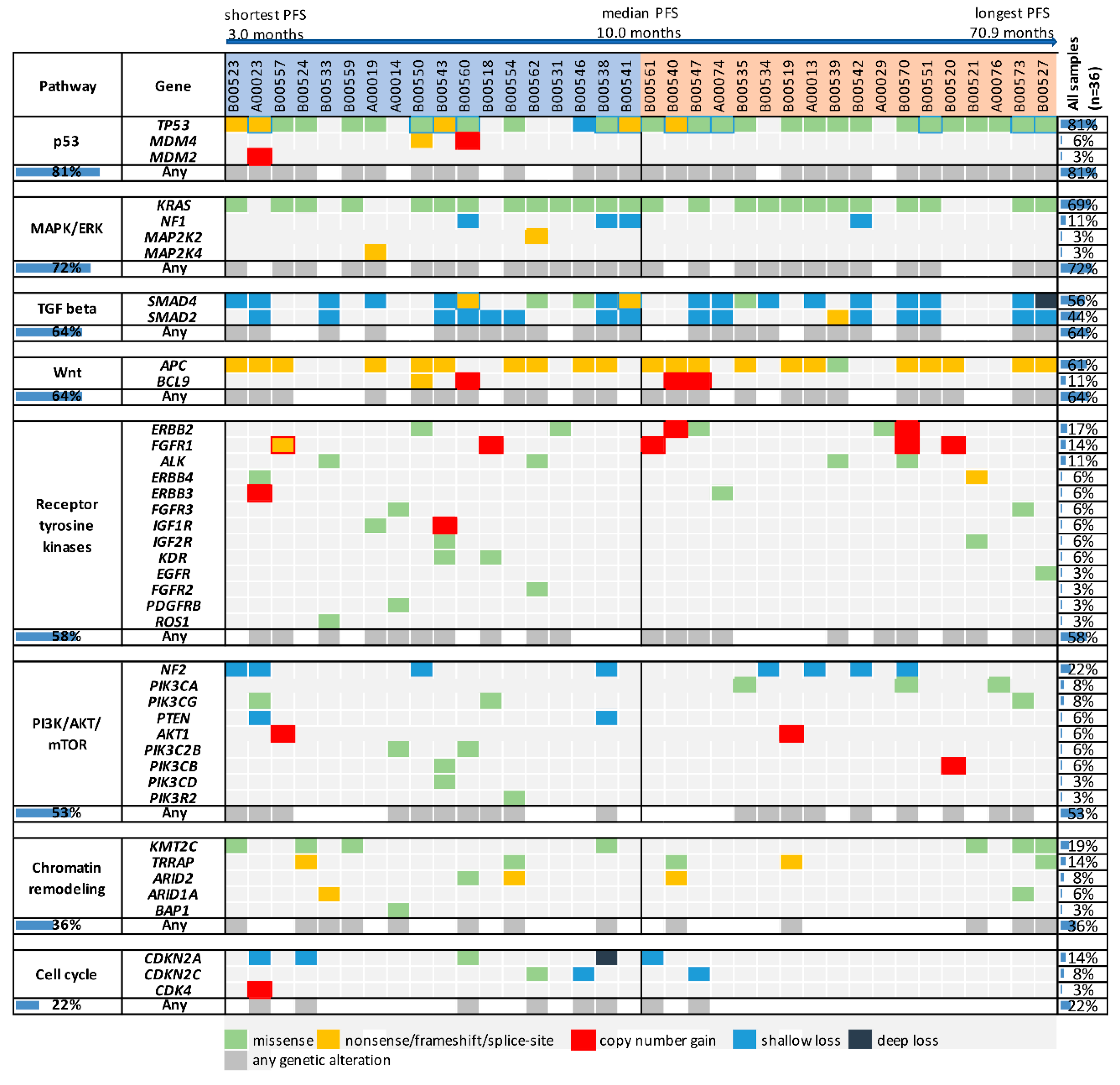 Cancers 11 01079 g001