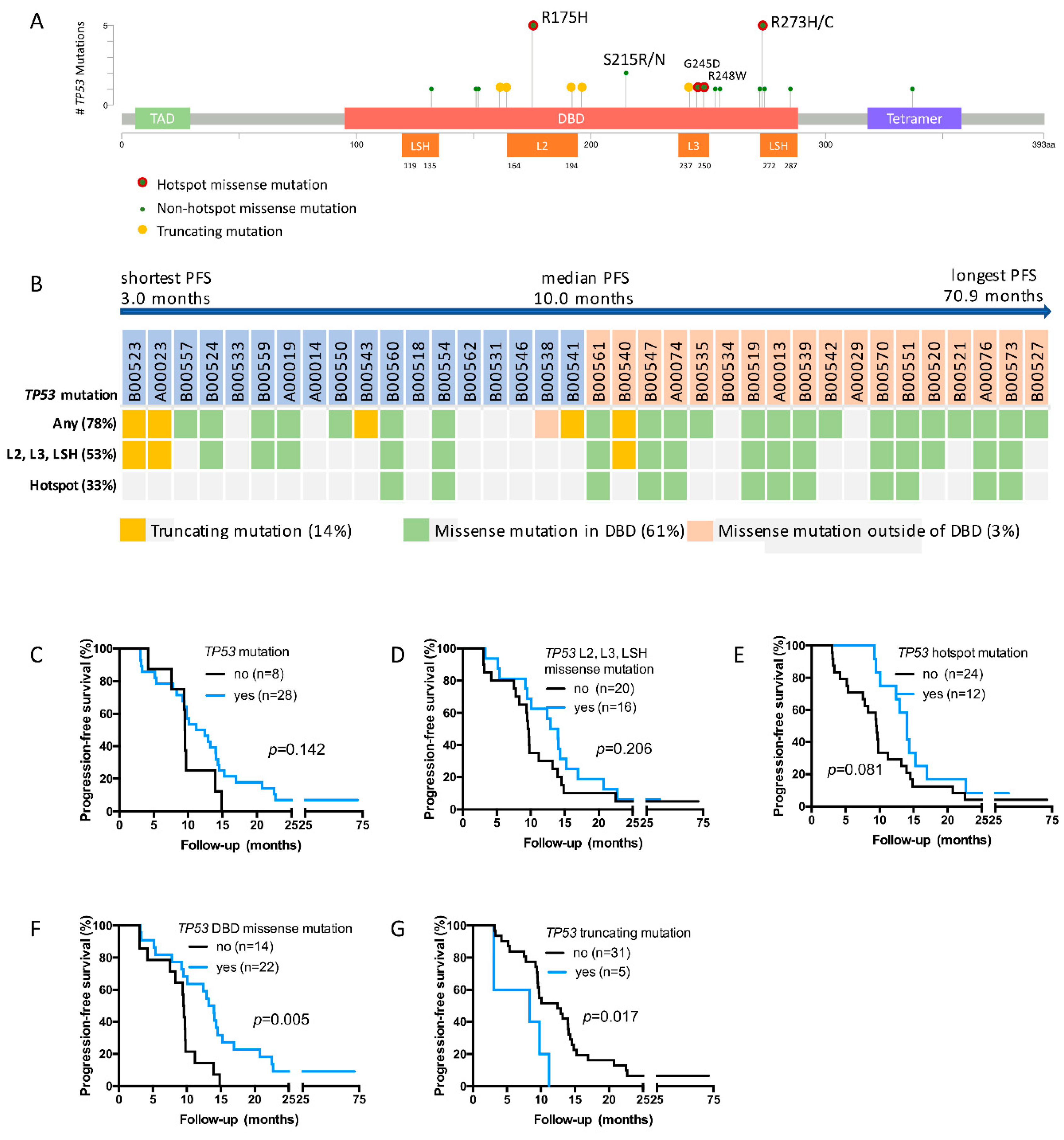 Cancers 11 01079 g002