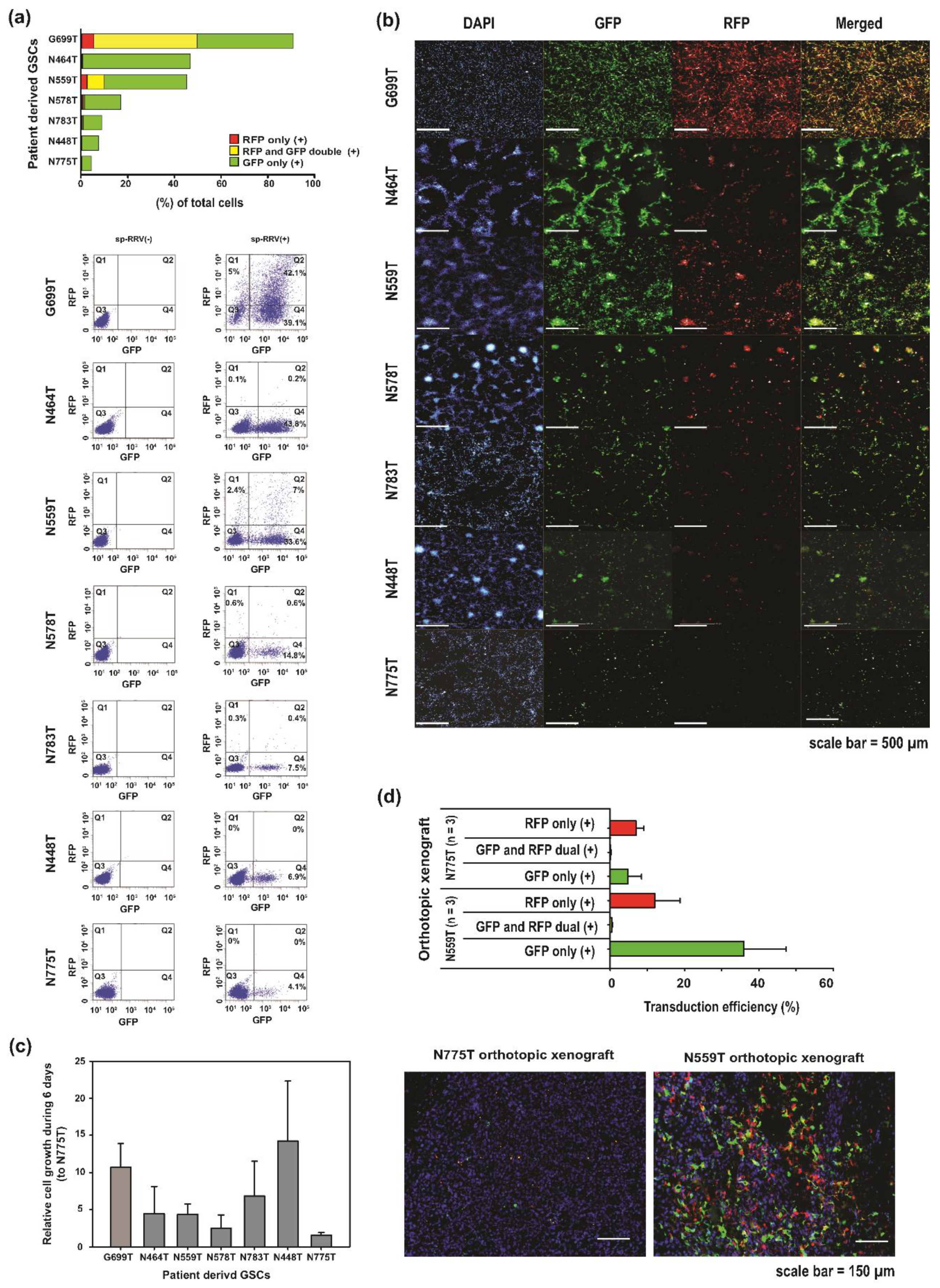 Cancers 11 01090 g002 Cancers 11 01090 g002