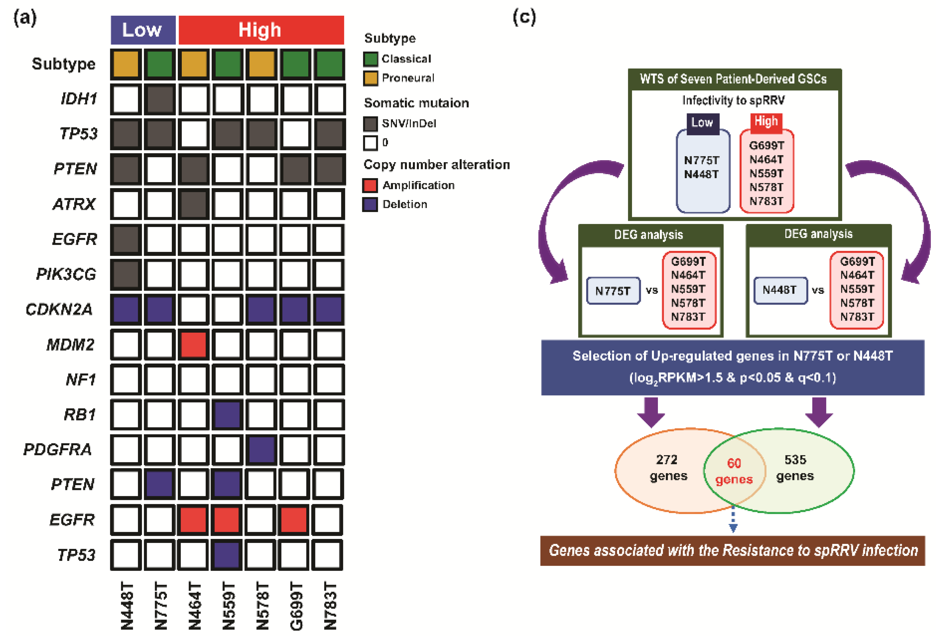 Cancers 11 01090 g005a Cancers 11 01090 g005a