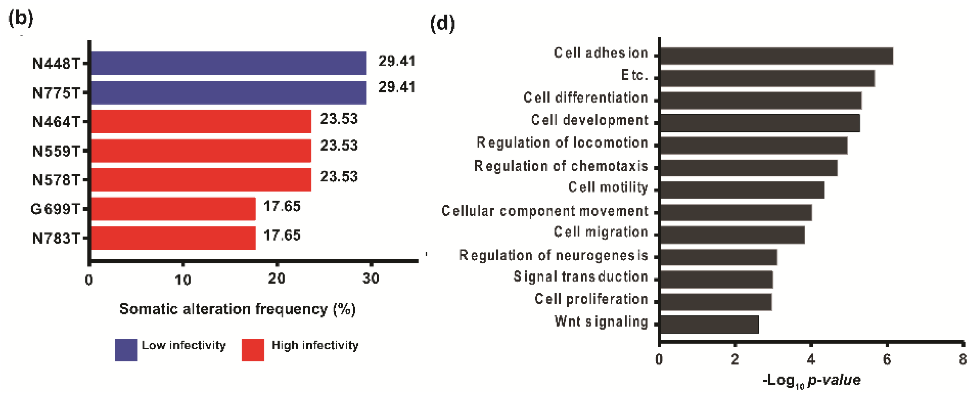 Cancers 11 01090 g005b Cancers 11 01090 g005b