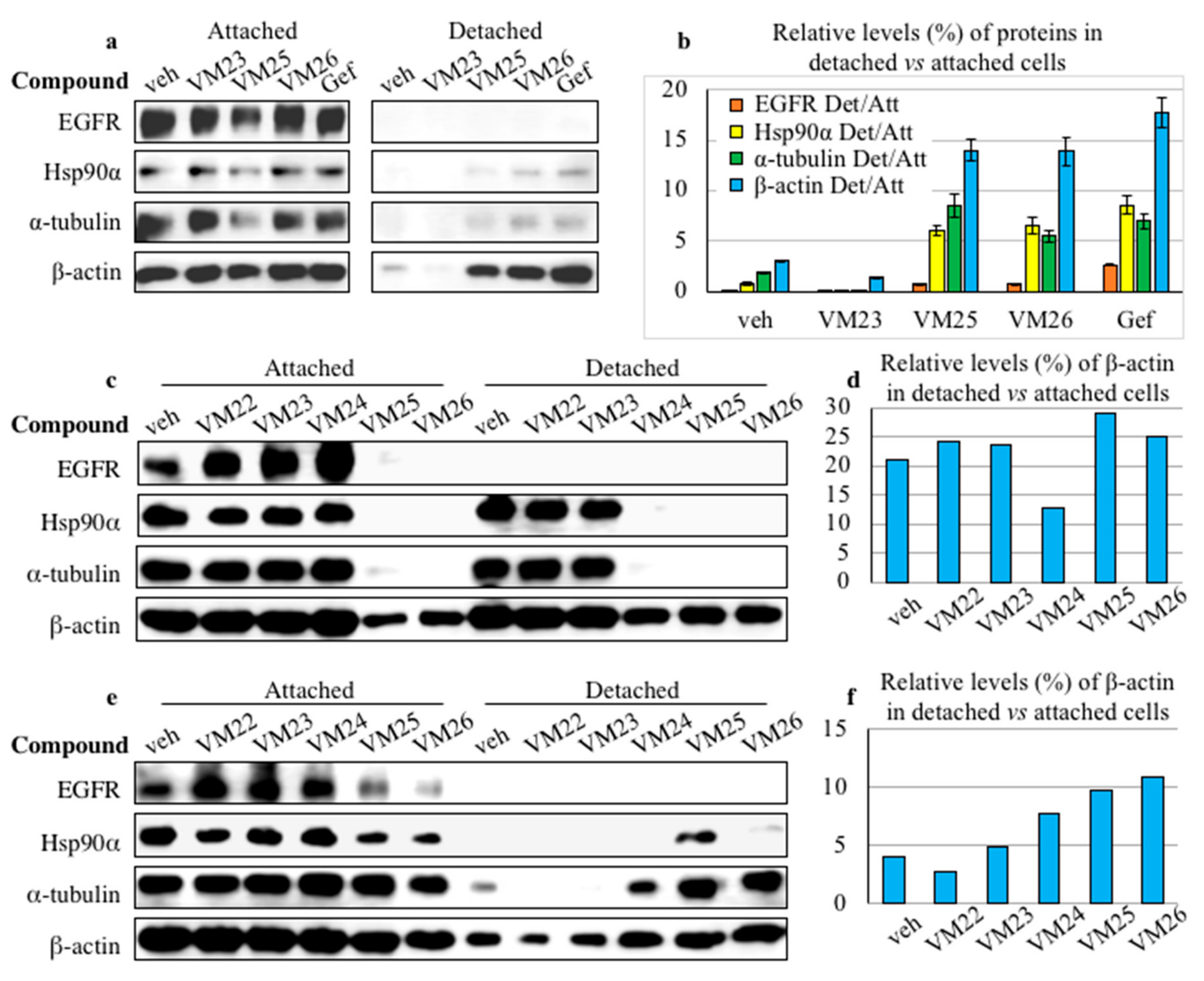Cancers 11 01094 g005 Cancers 11 01094 g005