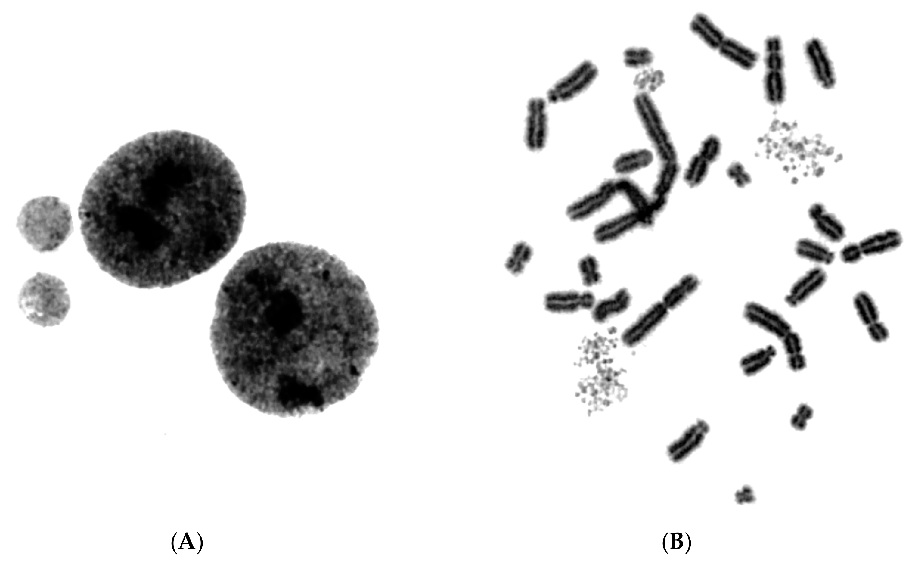 Cancers 11 01123 g003