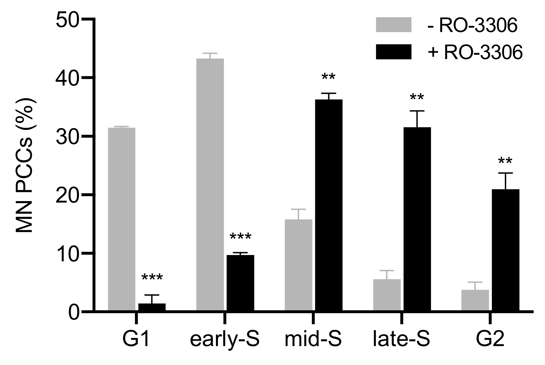 Cancers 11 01123 g004