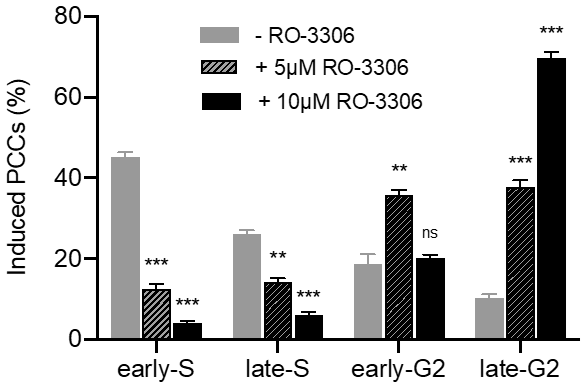 Cancers 11 01123 g011
