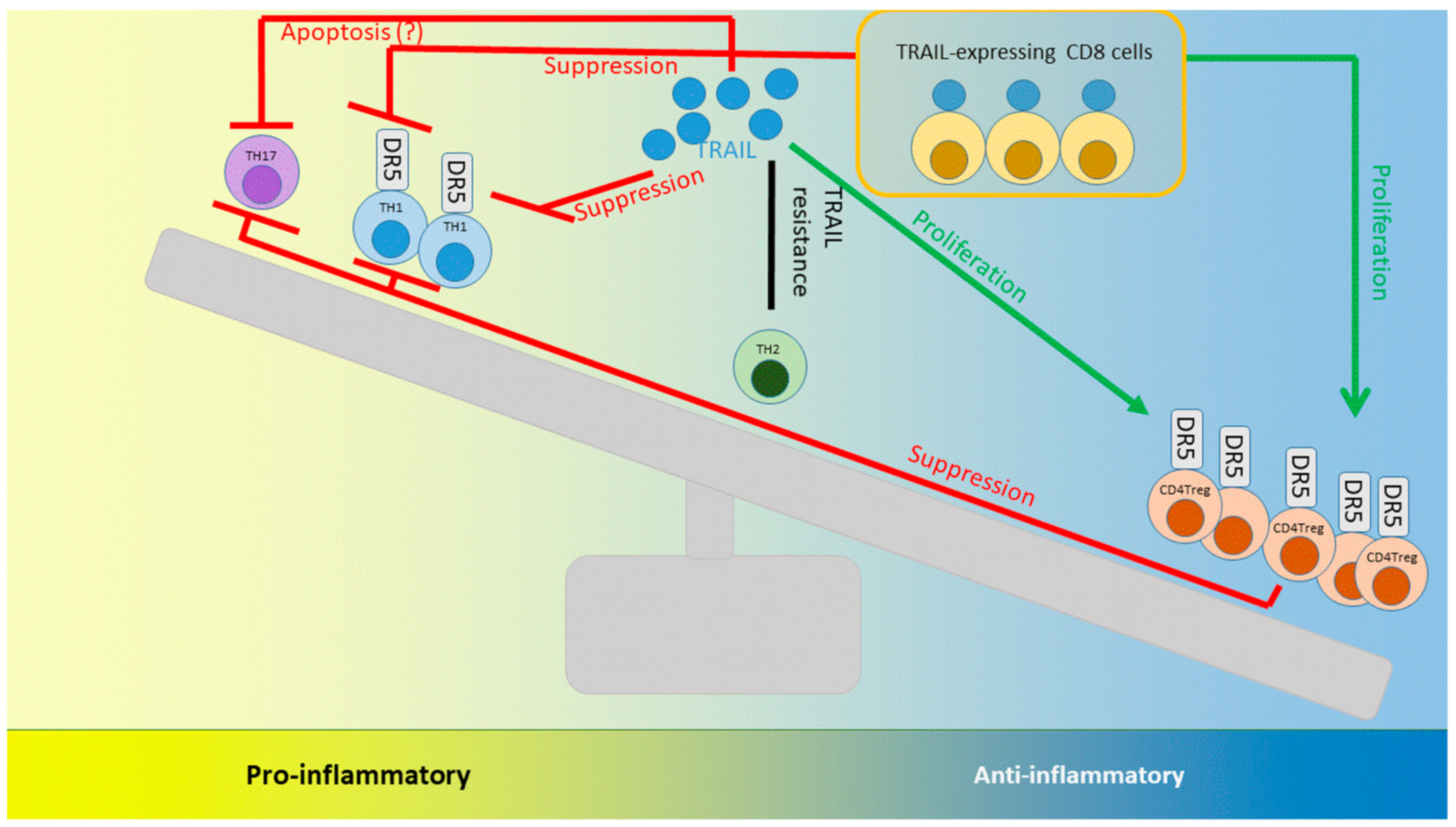 Cancers 11 01161 g003