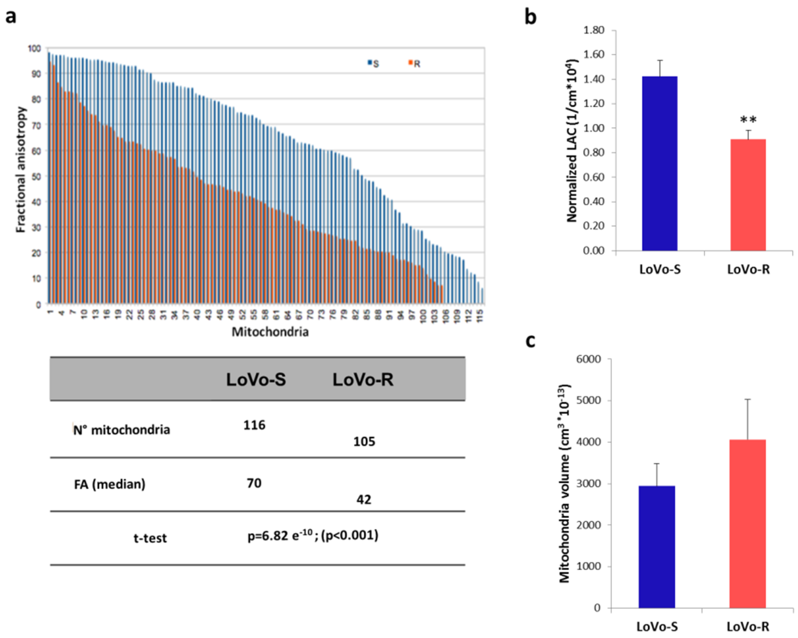 Cancers 11 01254 g004 Cancers 11 01254 g004