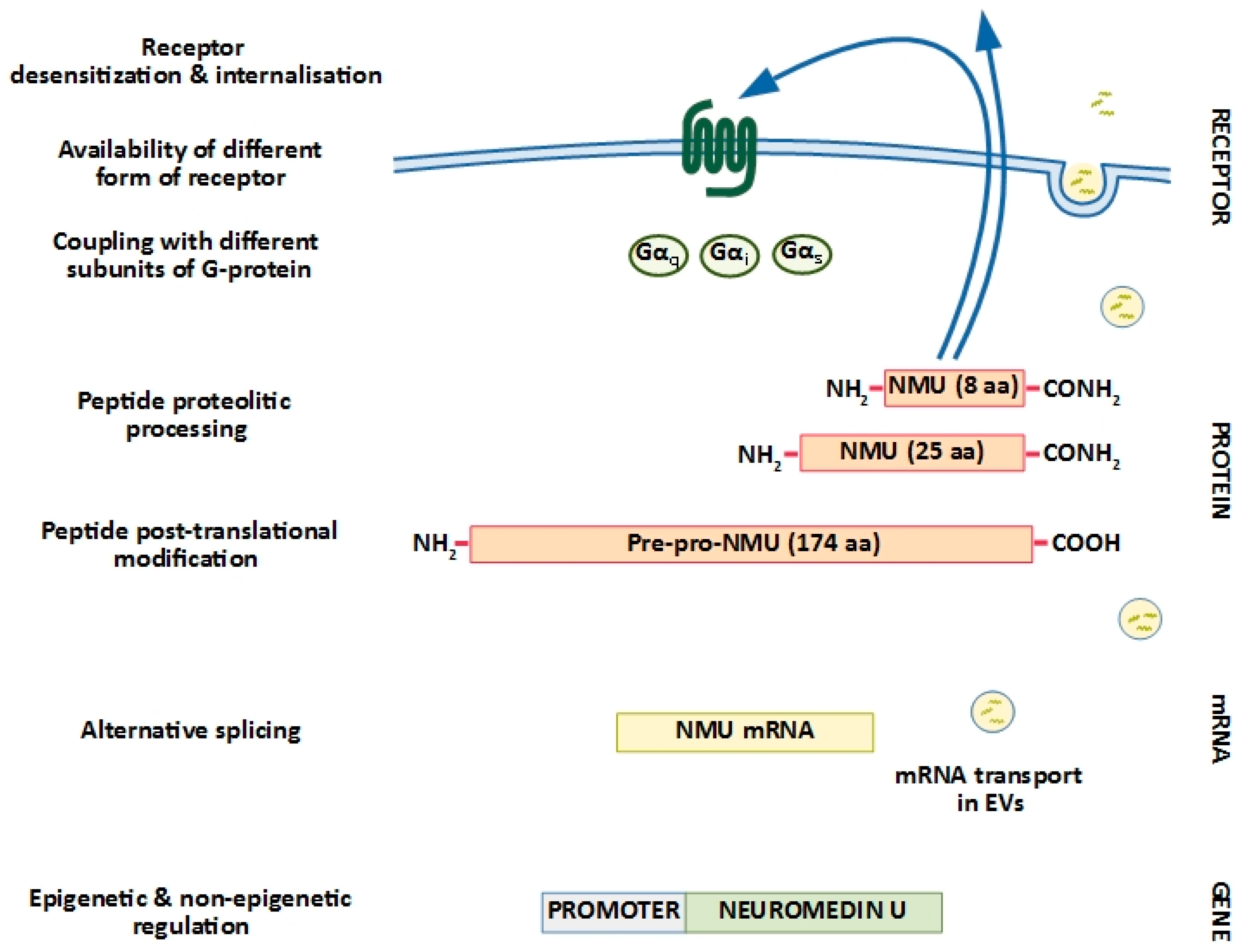 Cancers 11 01312 g002 Cancers 11 01312 g002