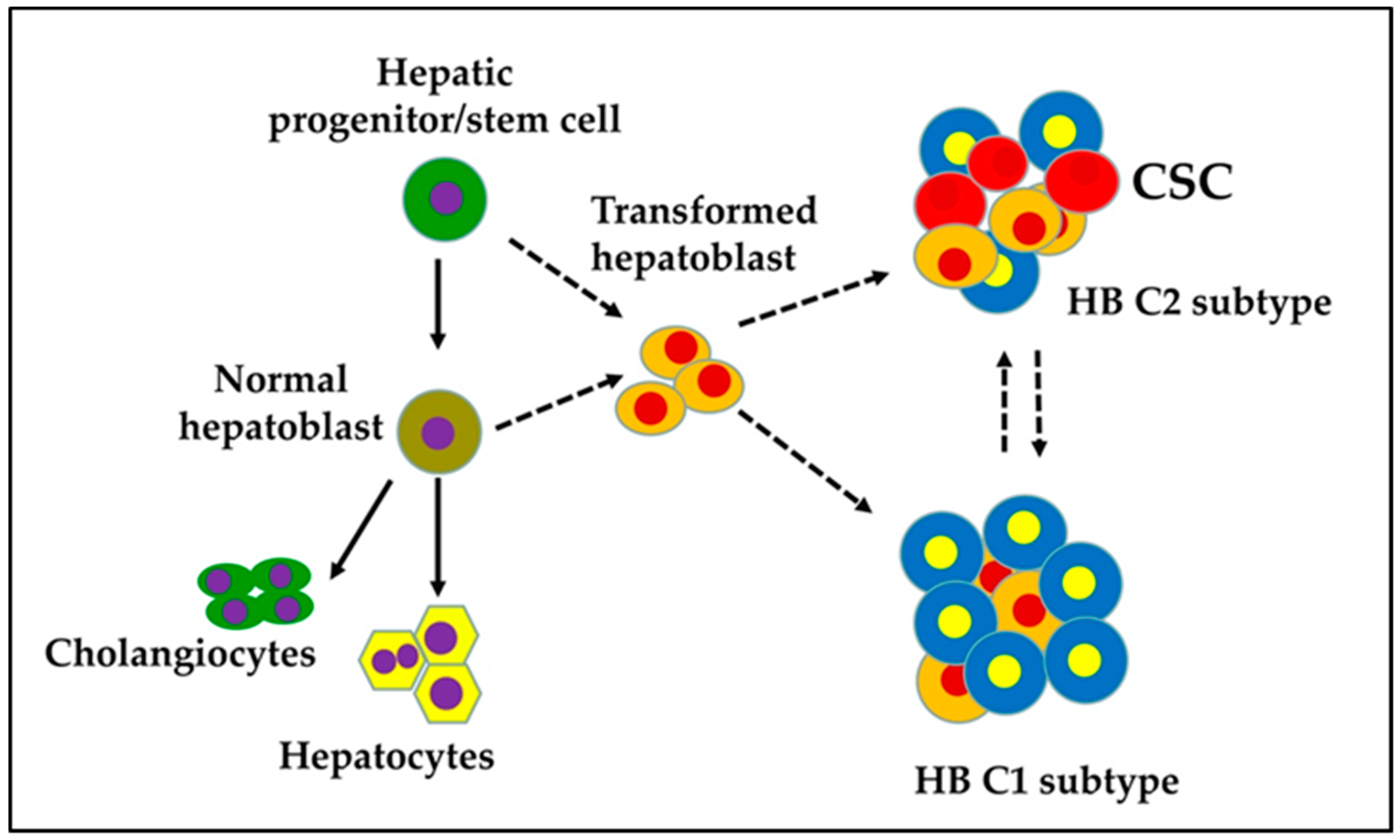 Cancers 11 01406 g001
