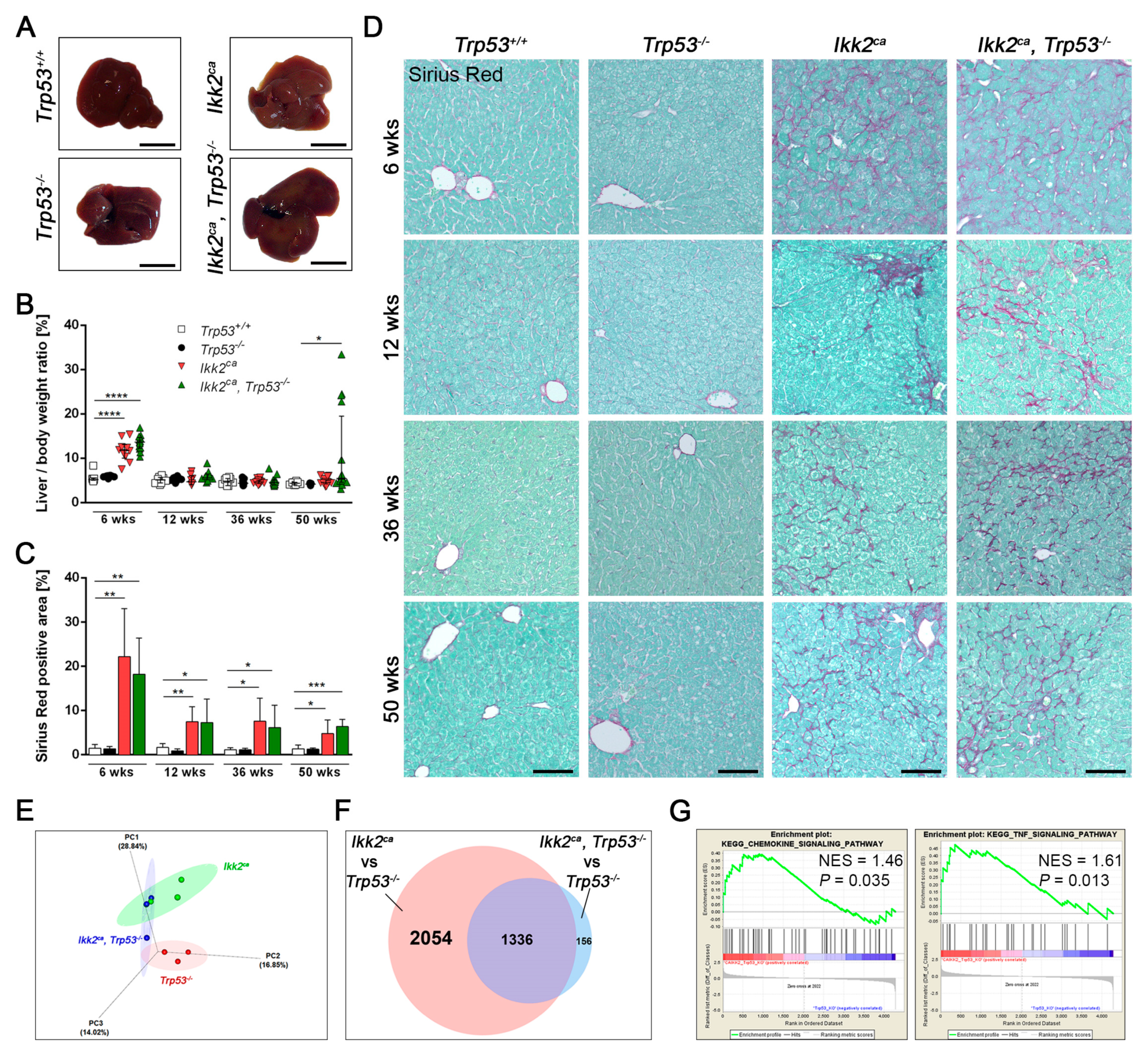 Cancers 11 01410 g002