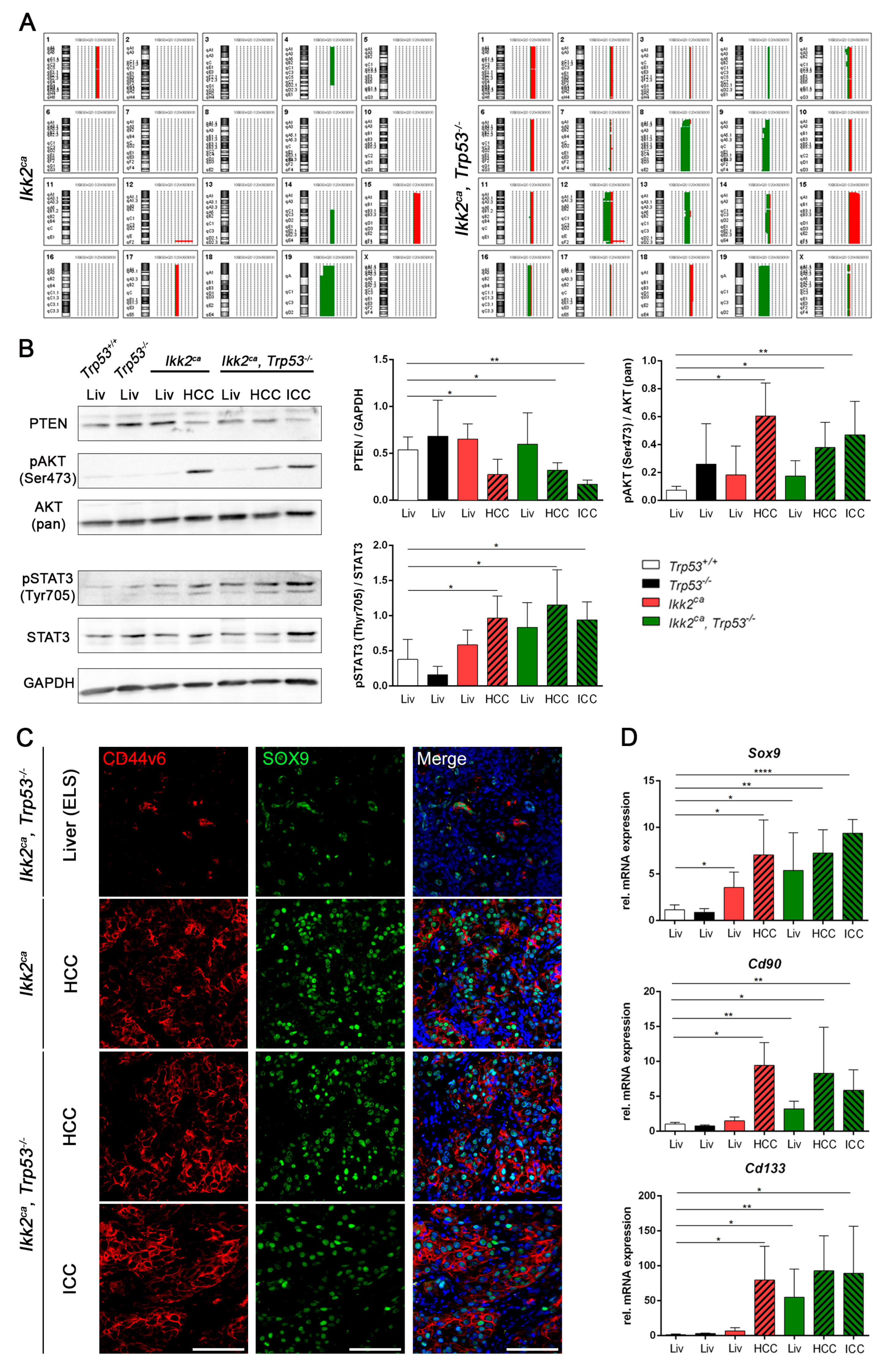 Cancers 11 01410 g004