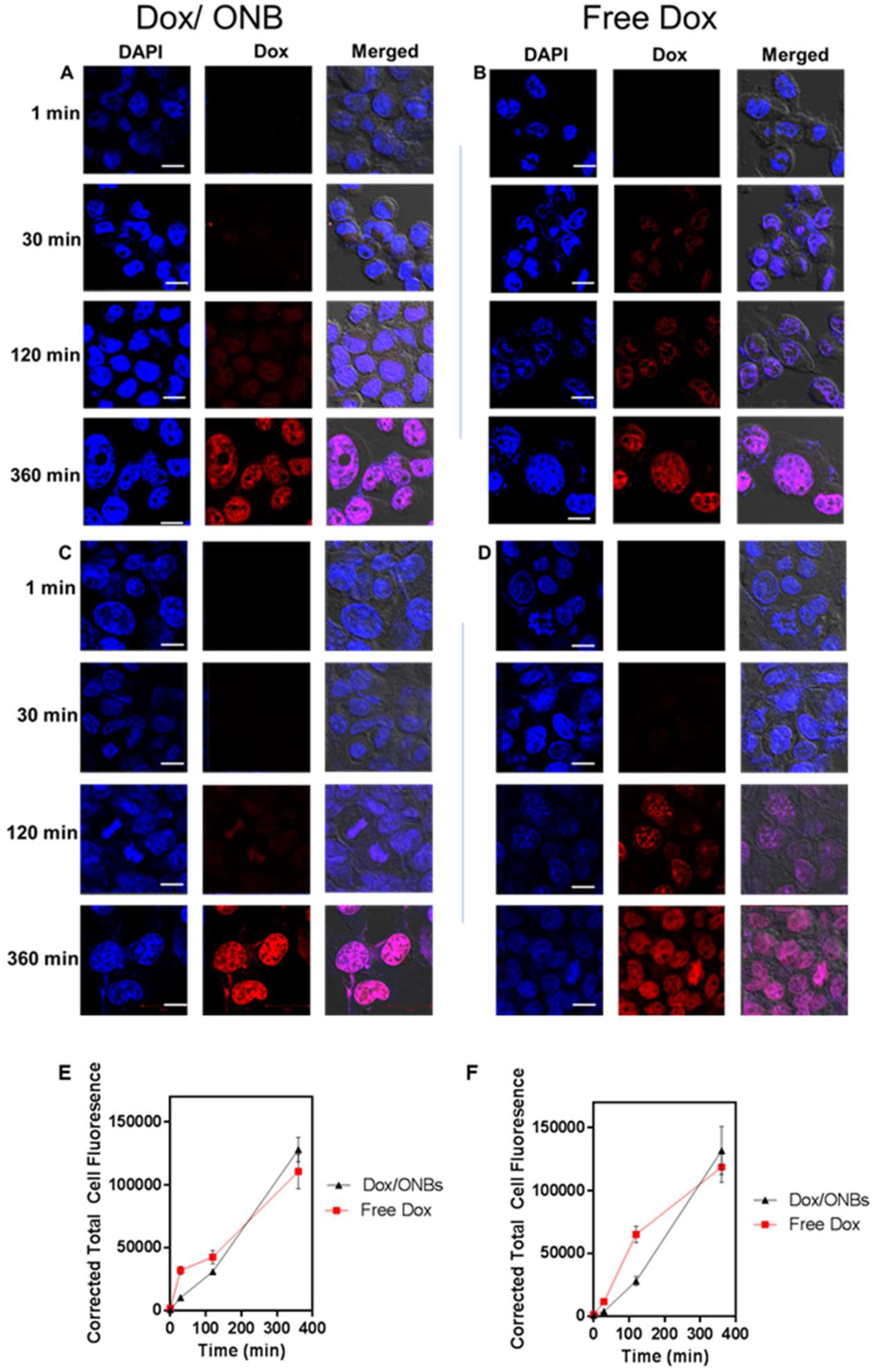 Cancers 11 01464 g004 Cancers 11 01464 g004