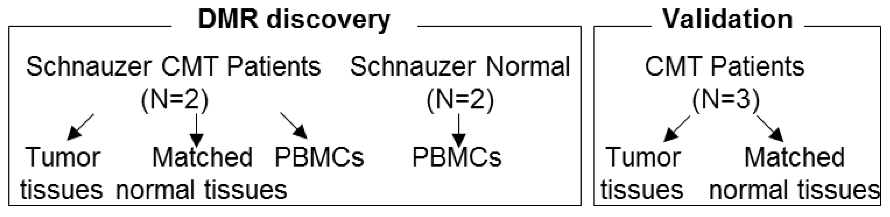 Cancers 11 01466 g001 Cancers 11 01466 g001
