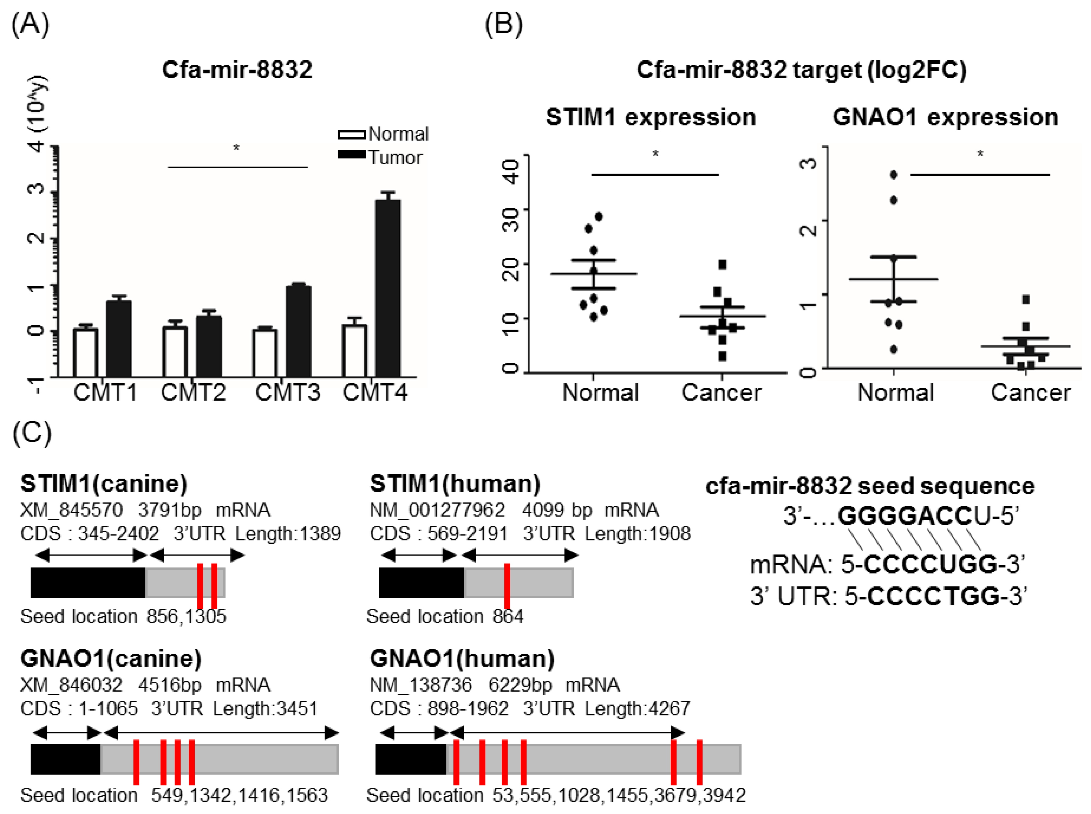 Cancers 11 01466 g005 Cancers 11 01466 g005