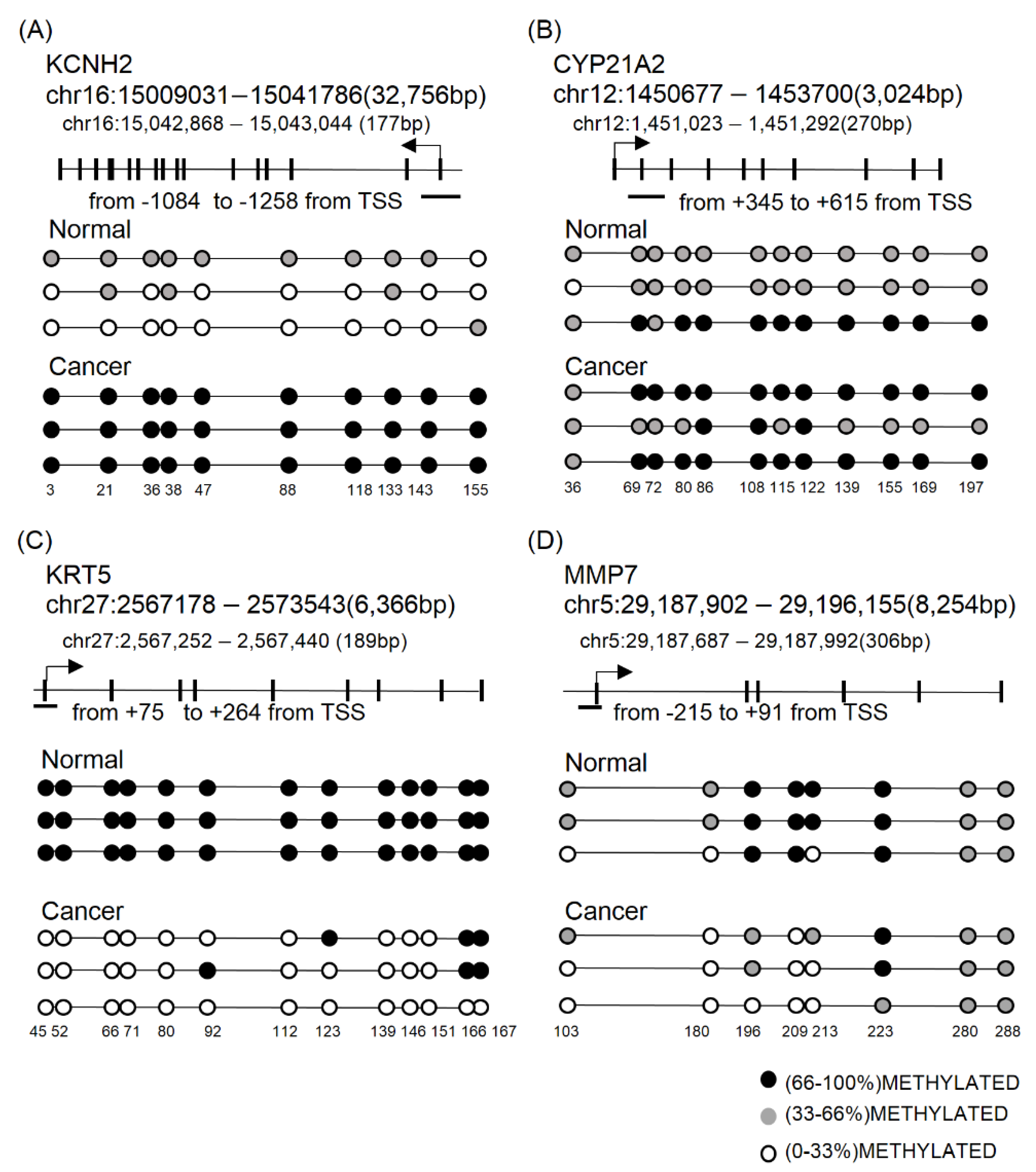 Cancers 11 01466 g006 Cancers 11 01466 g006