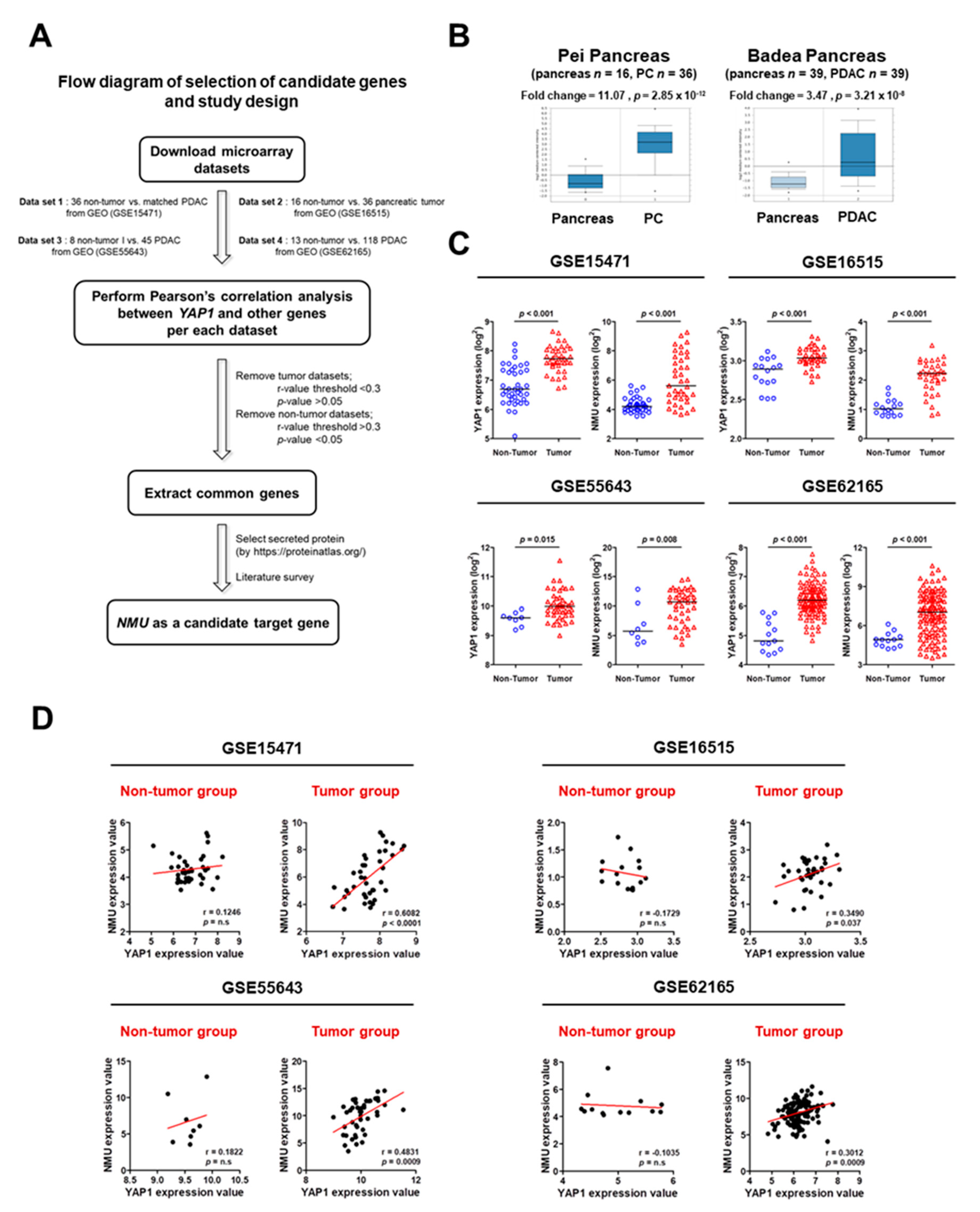Cancers 11 01477 g001