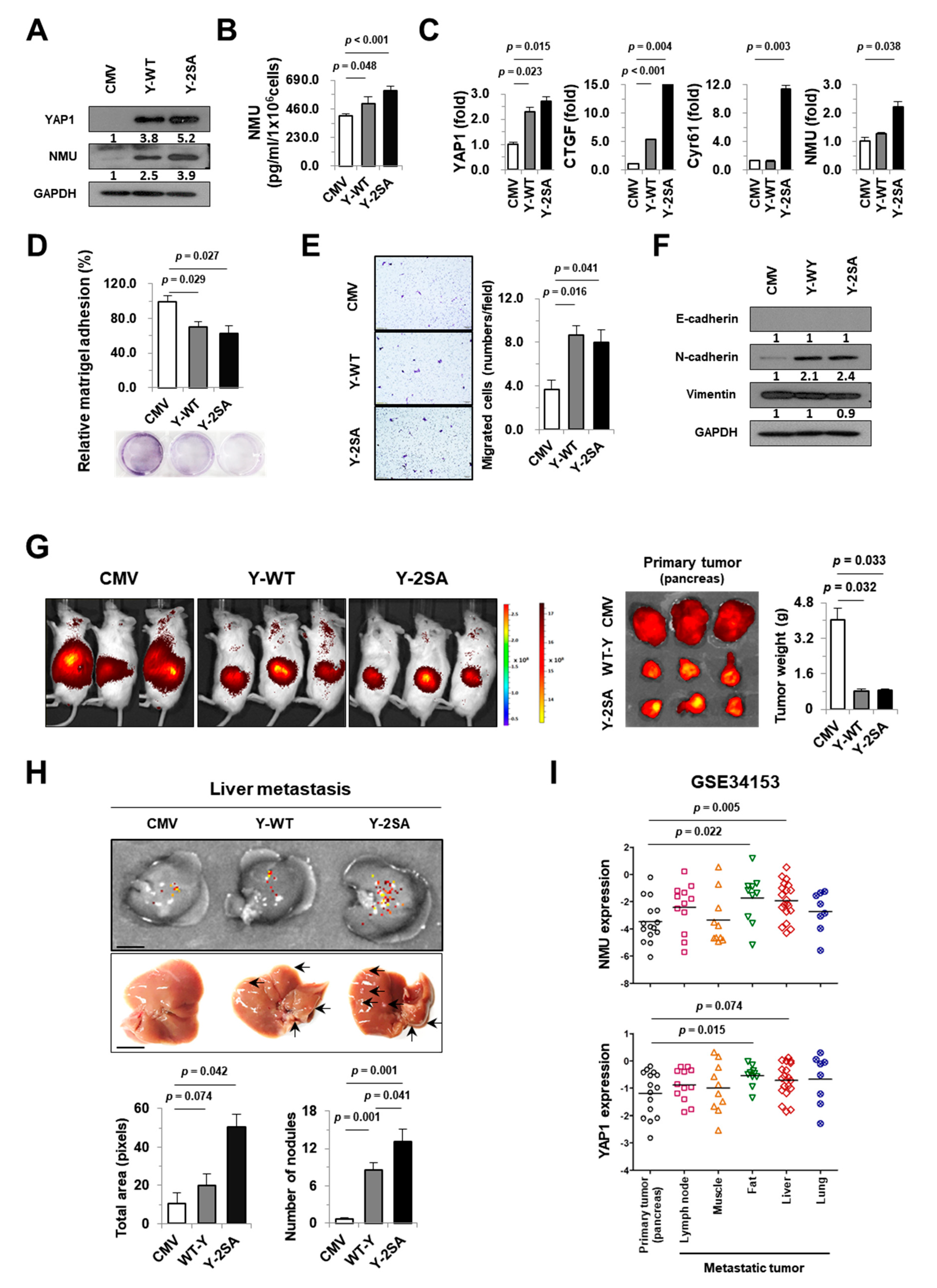 Cancers 11 01477 g003