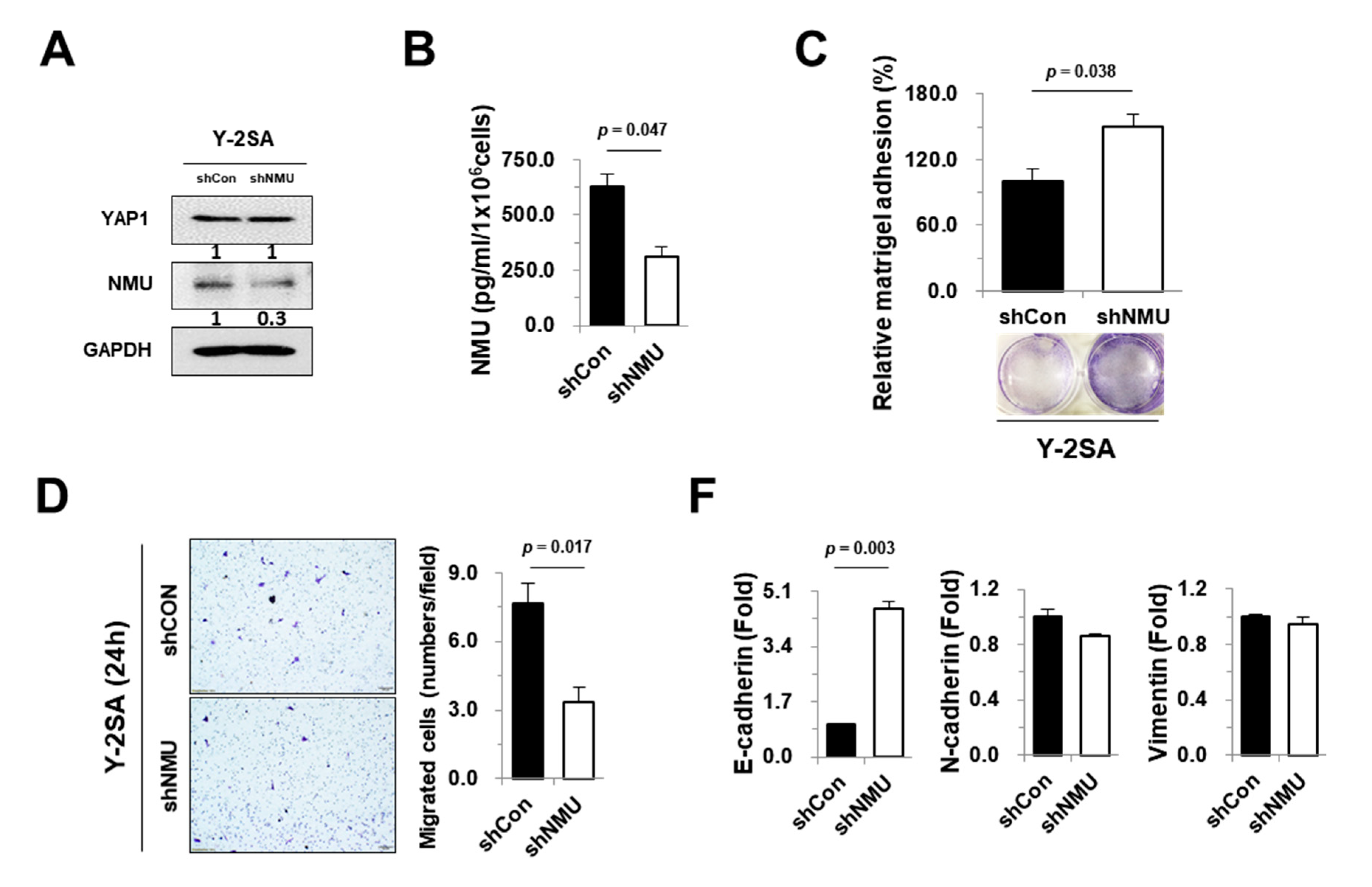 Cancers 11 01477 g004a