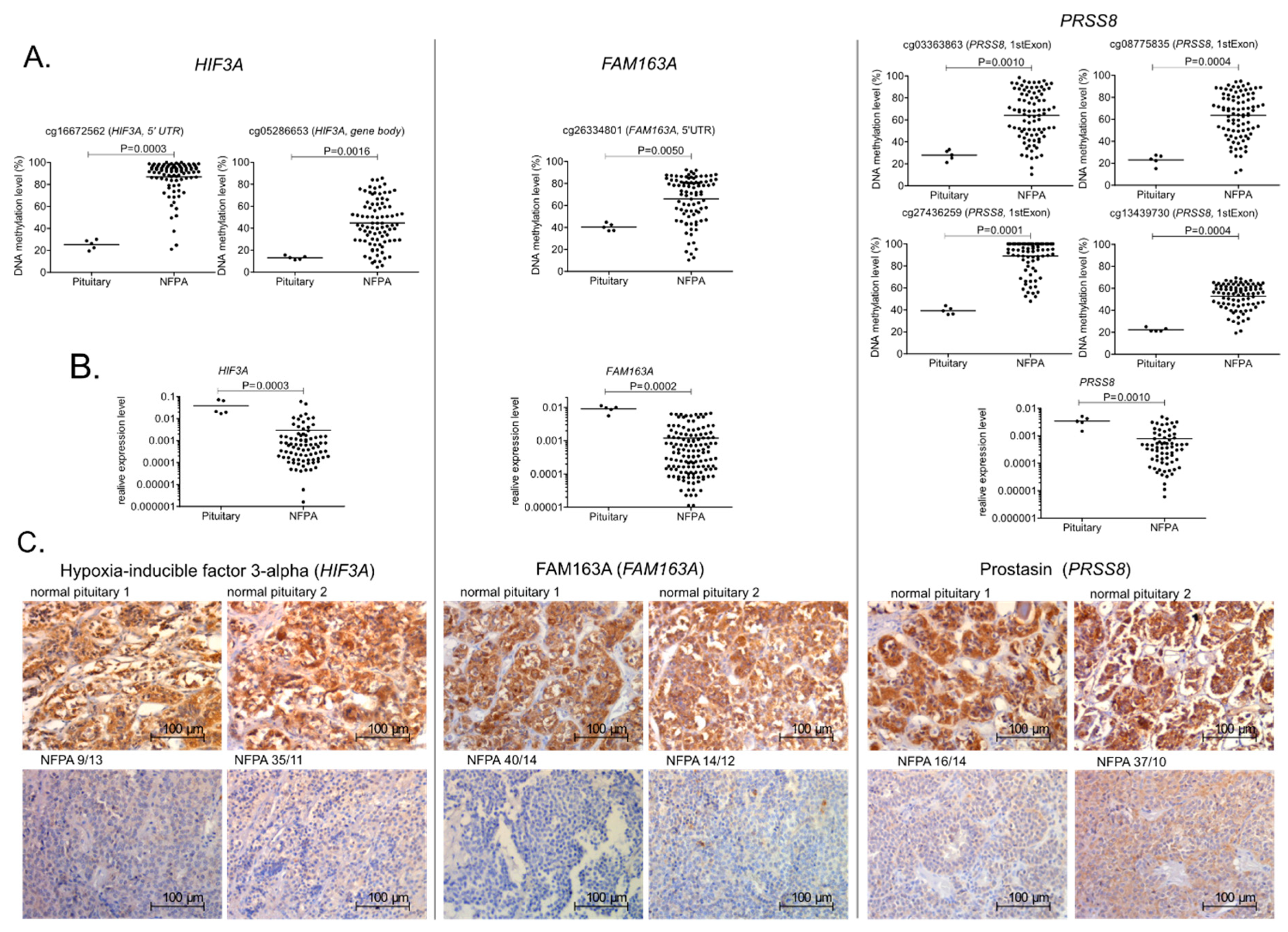 Cancers 11 01650 g004