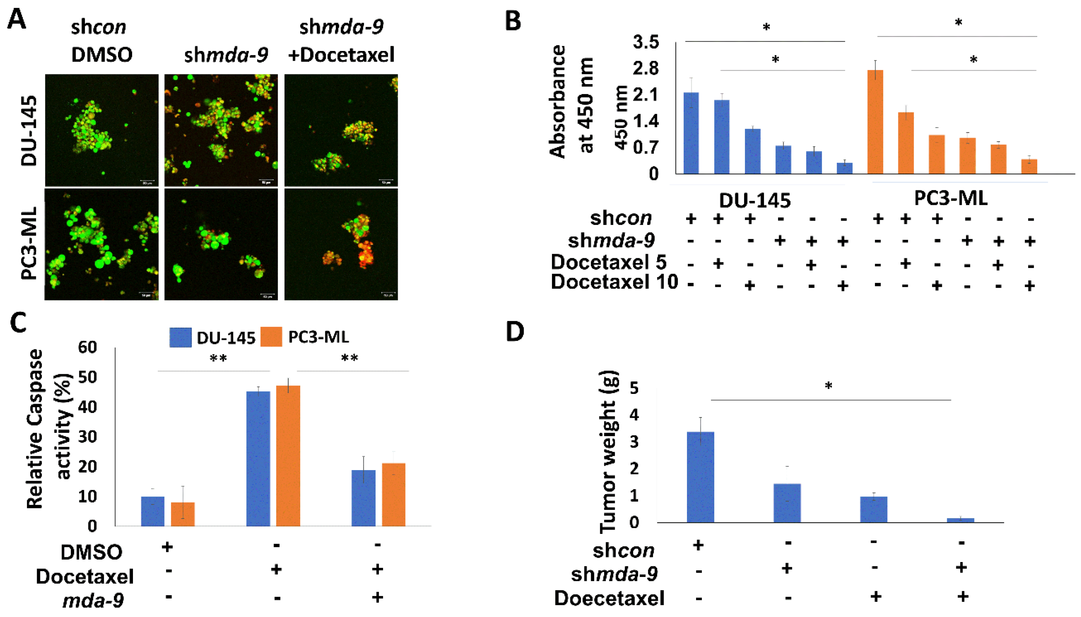 Cancers 12 00053 g003