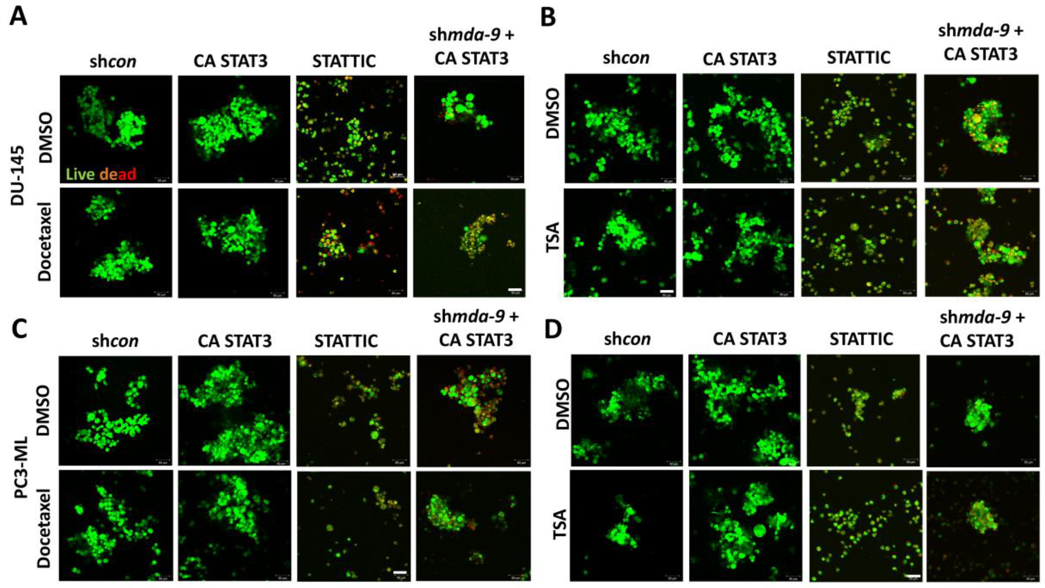 Cancers 12 00053 g004