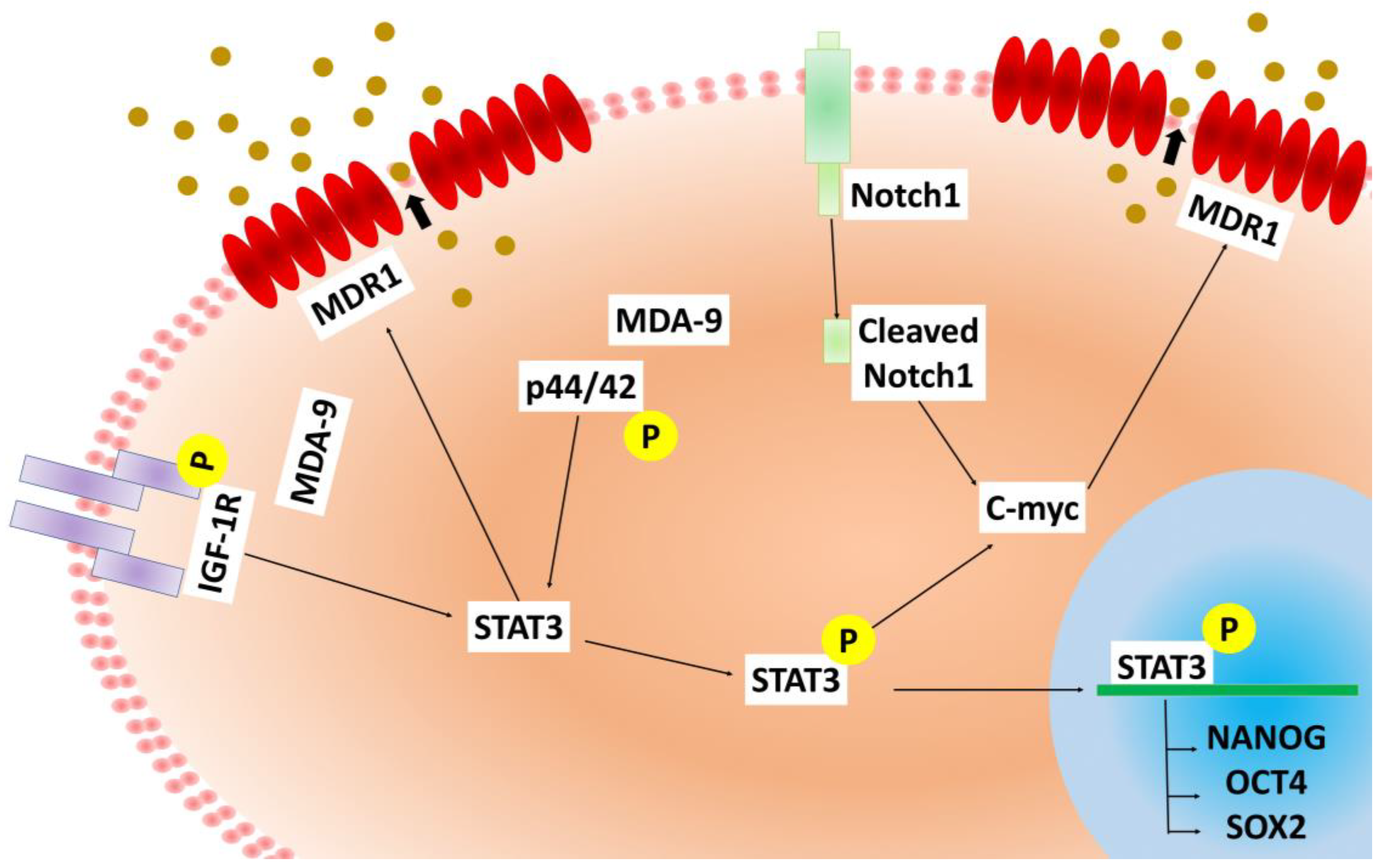 Cancers 12 00053 g007
