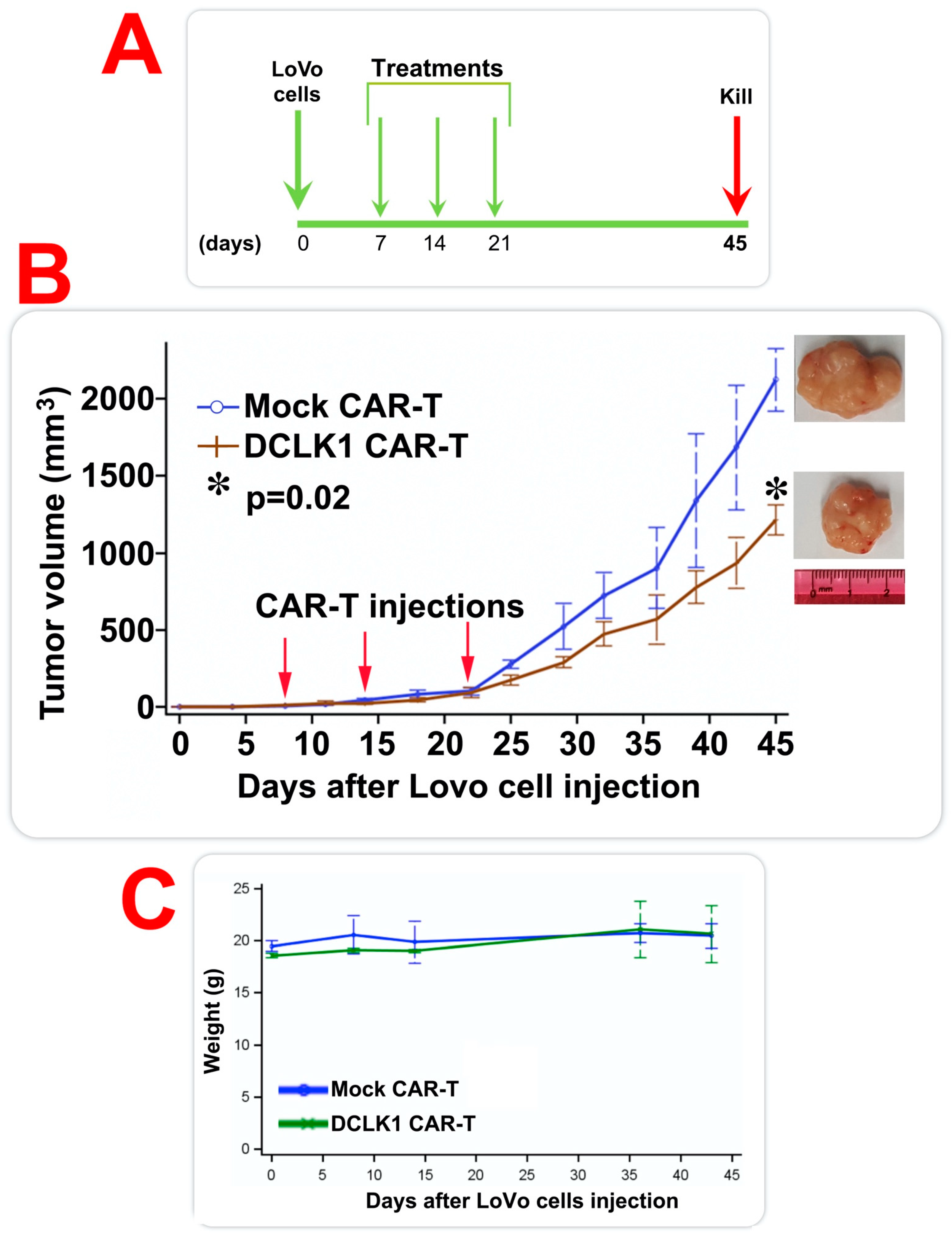 Cancers 12 00054 g005 Cancers 12 00054 g005