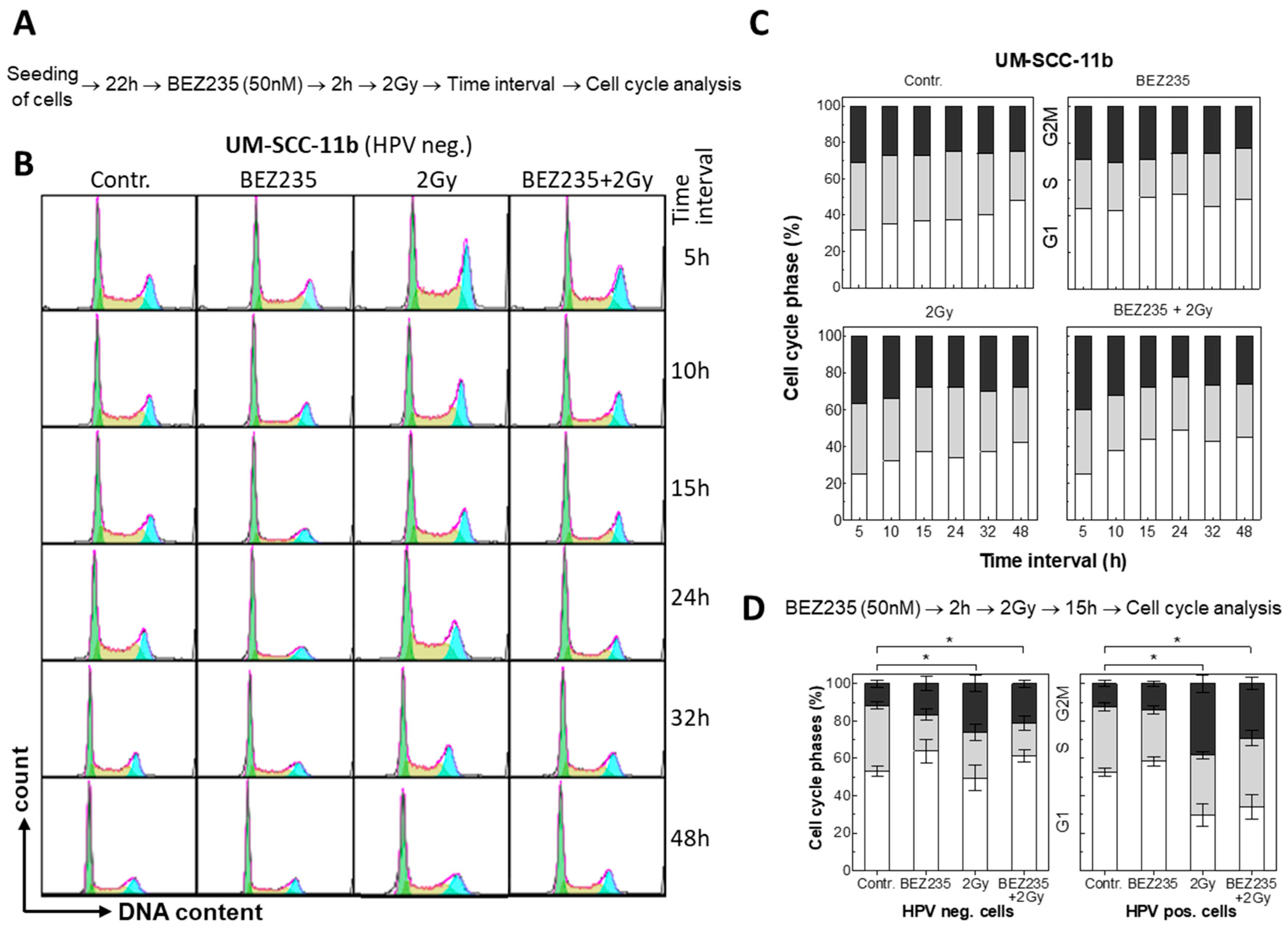 Cancers 12 00467 g002 Cancers 12 00467 g002