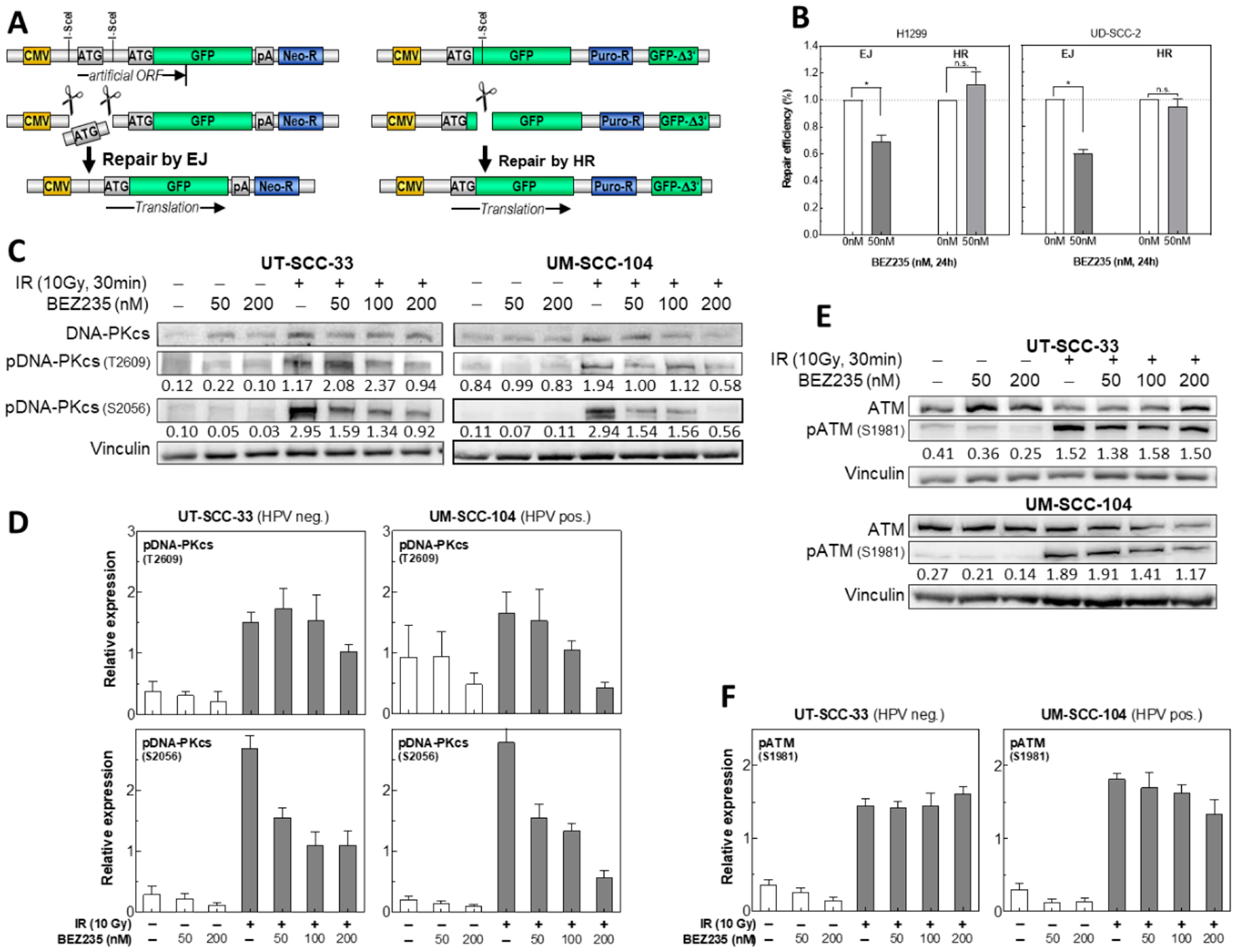 Cancers 12 00467 g004 Cancers 12 00467 g004