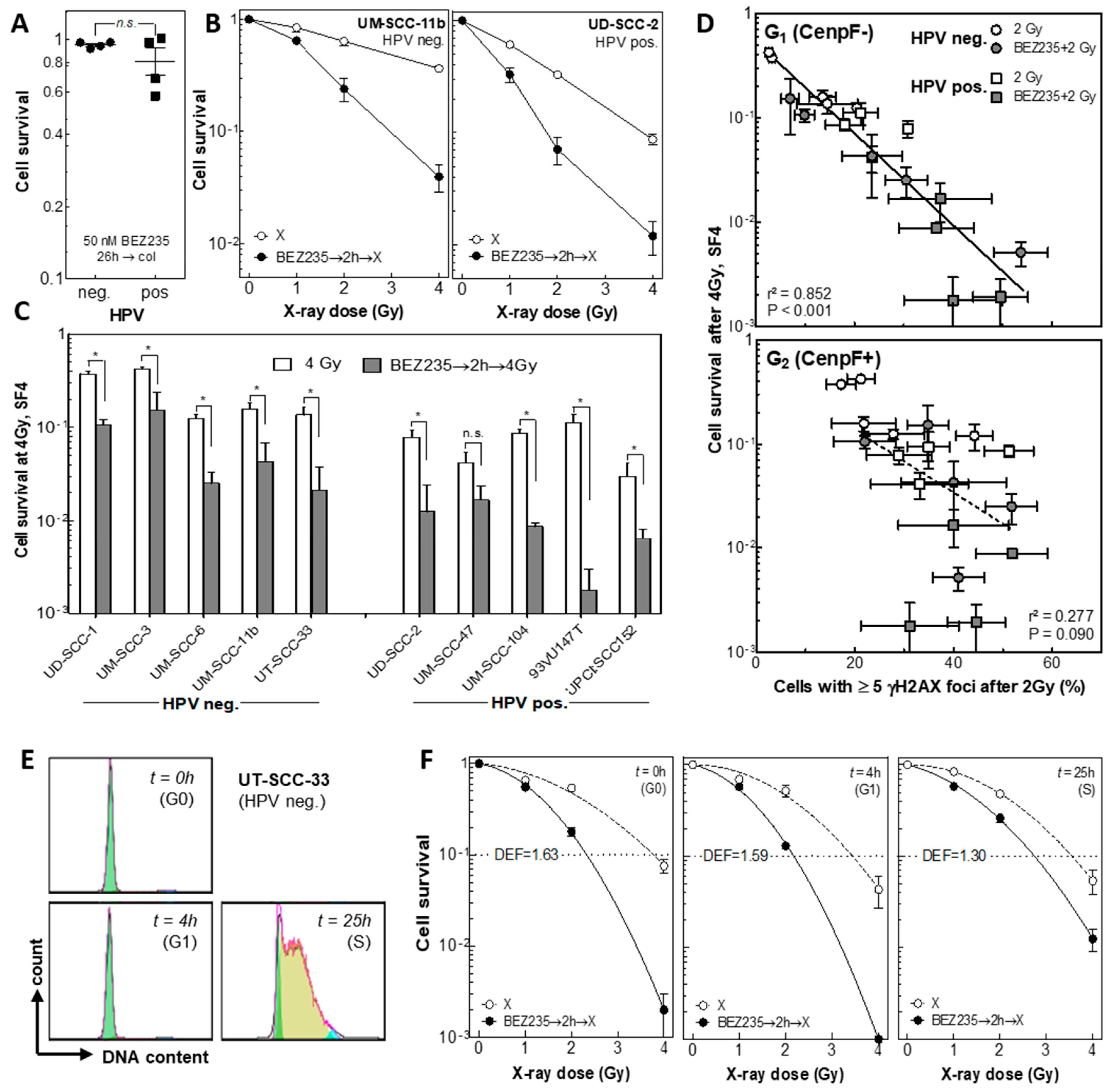 Cancers 12 00467 g005 Cancers 12 00467 g005