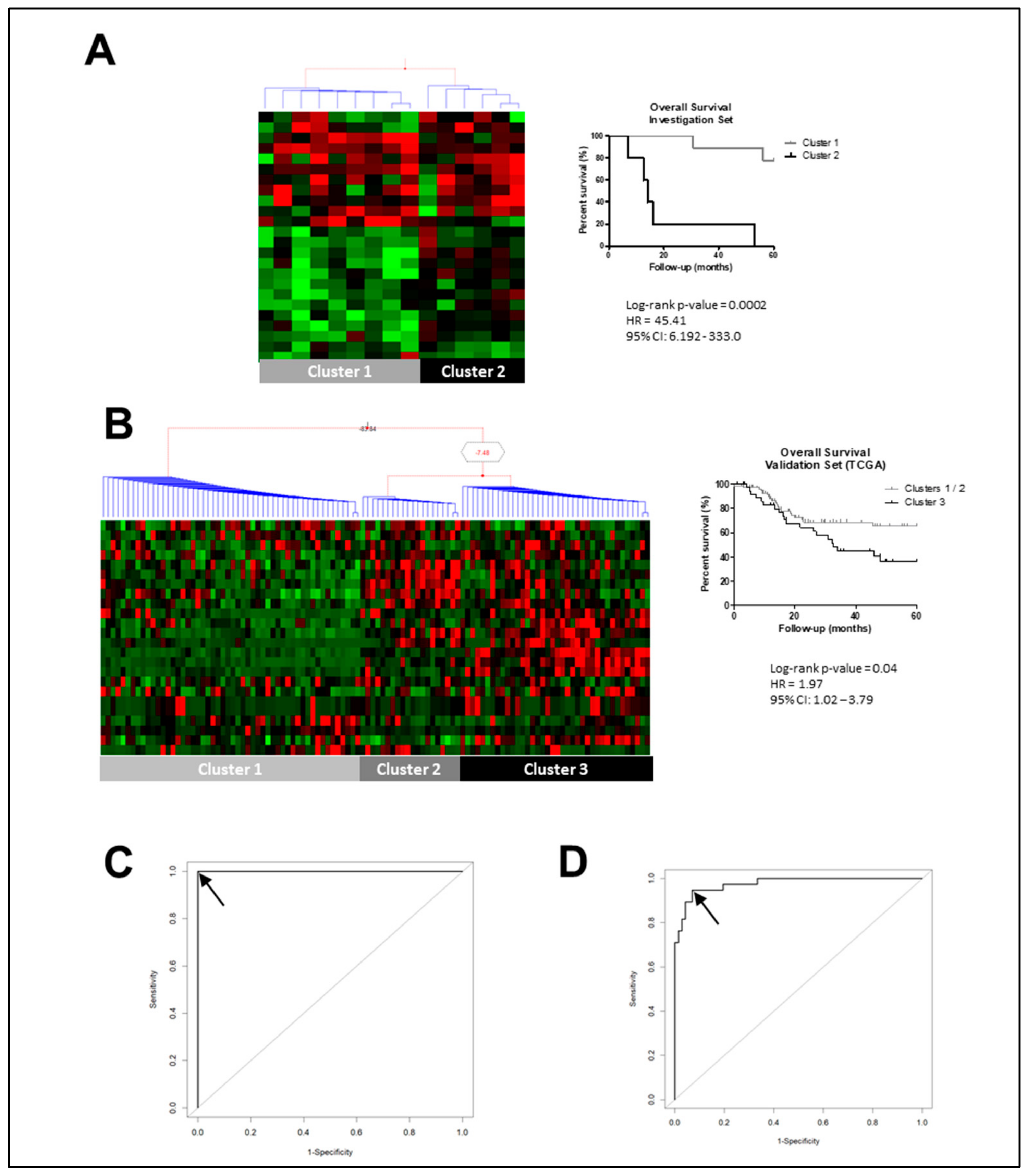 Cancers 12 00470 g001