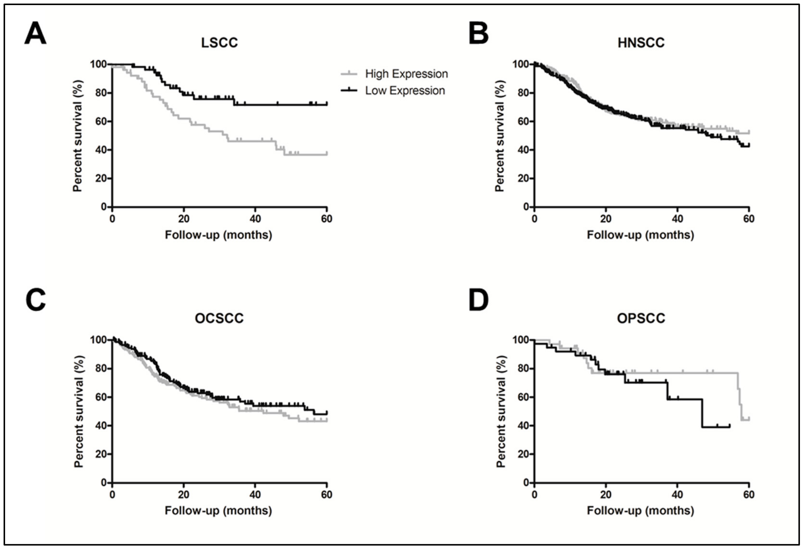 Cancers 12 00470 g002
