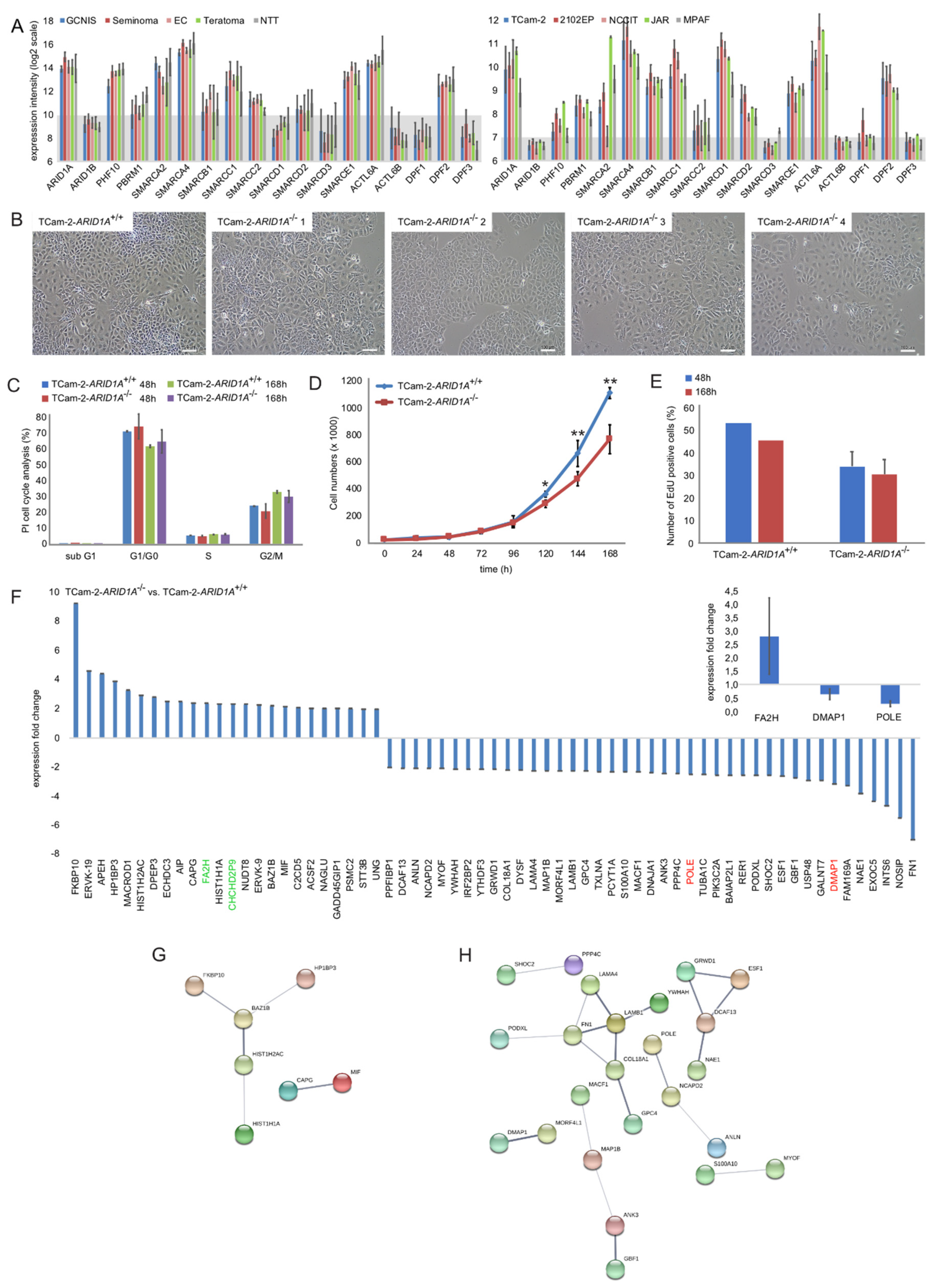 Cancers 12 00905 g001