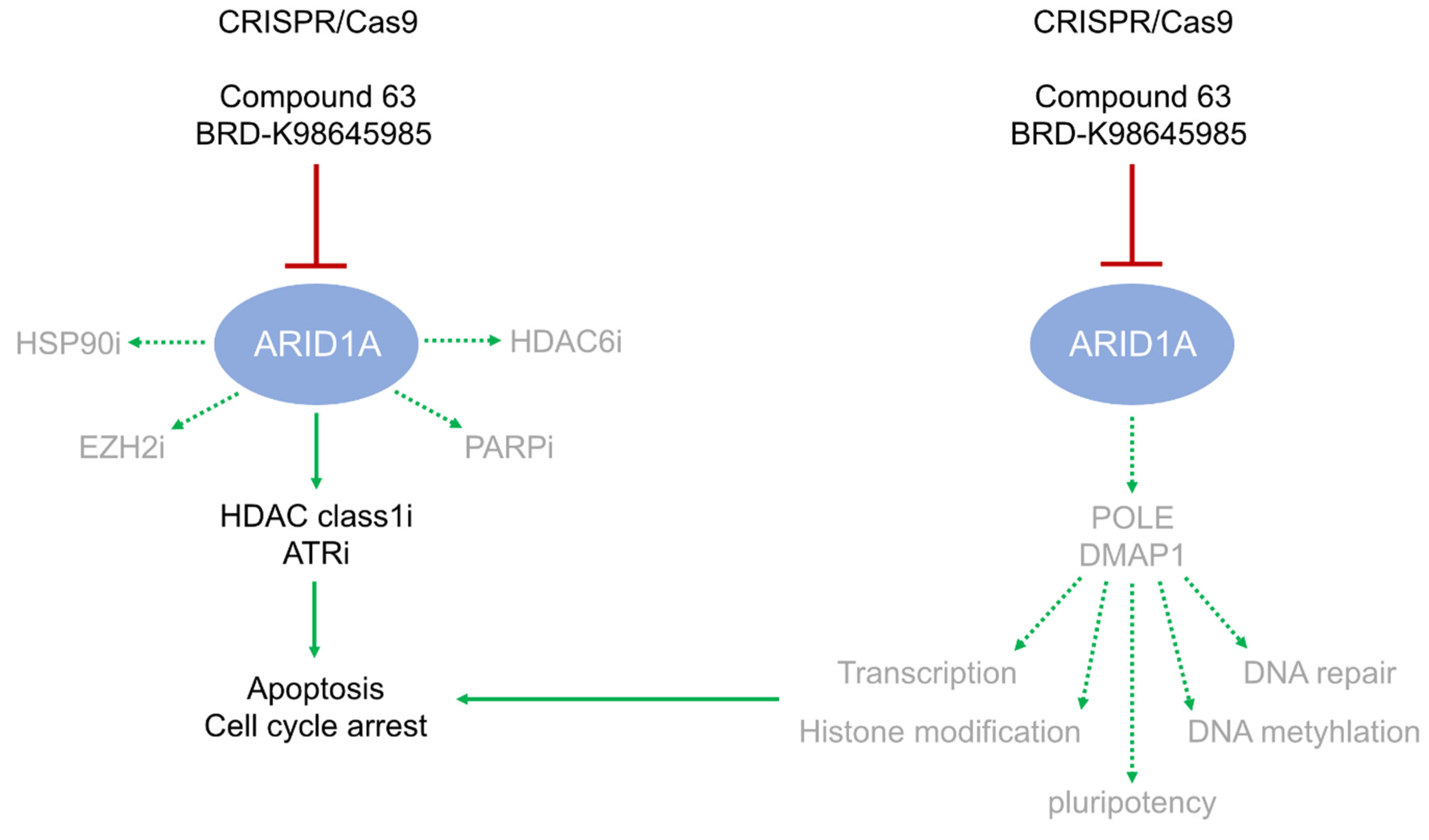 Cancers 12 00905 g004