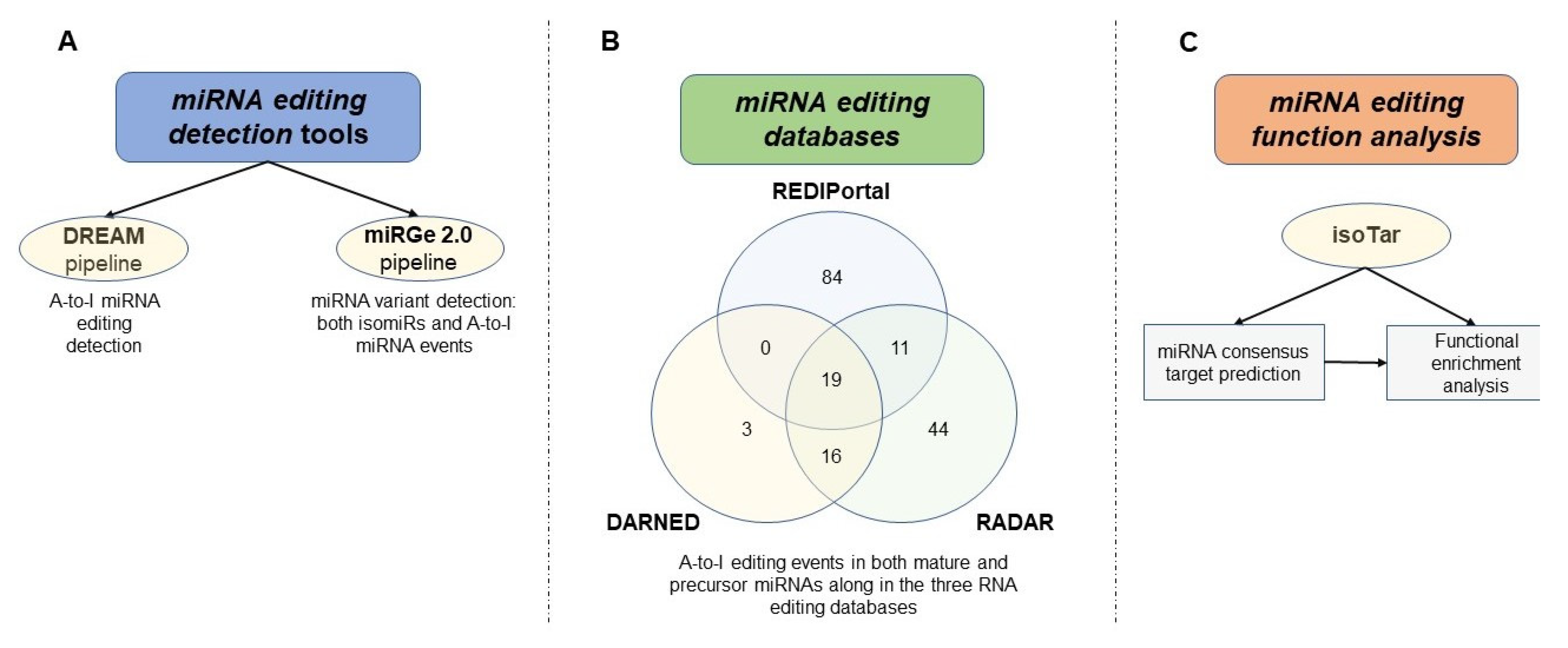 Cancers 12 01845 g002