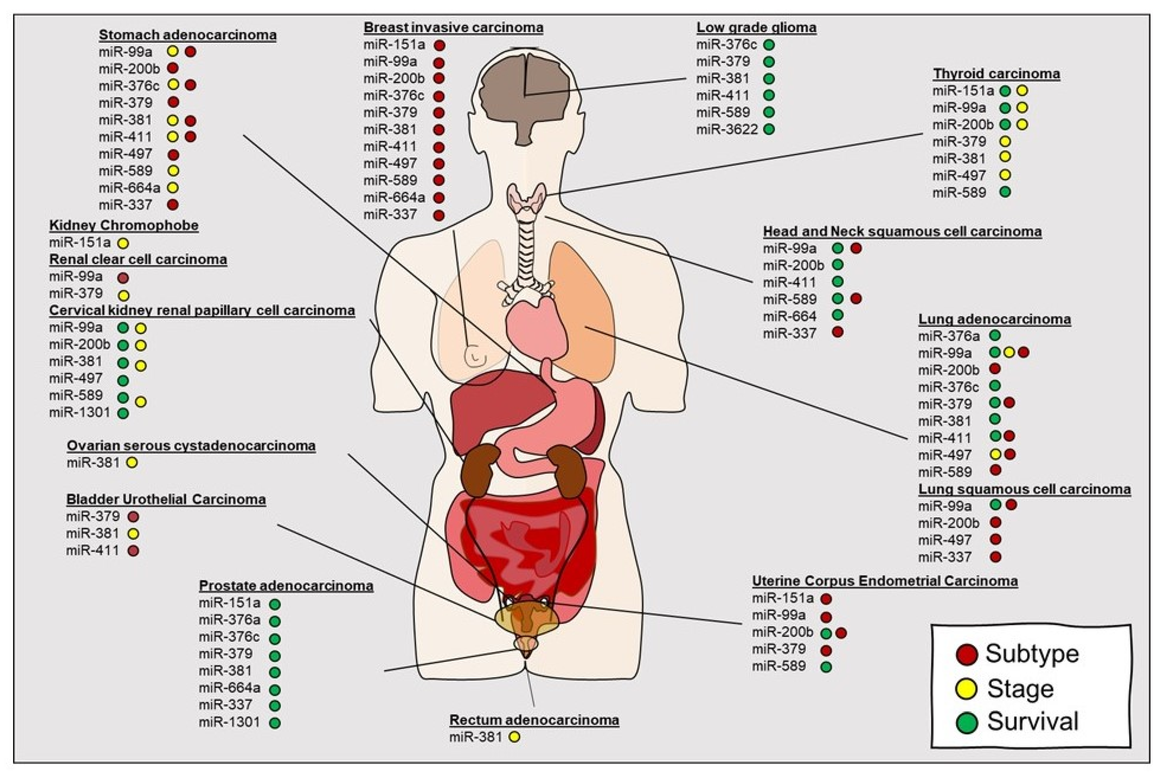 Cancers 12 01845 g004