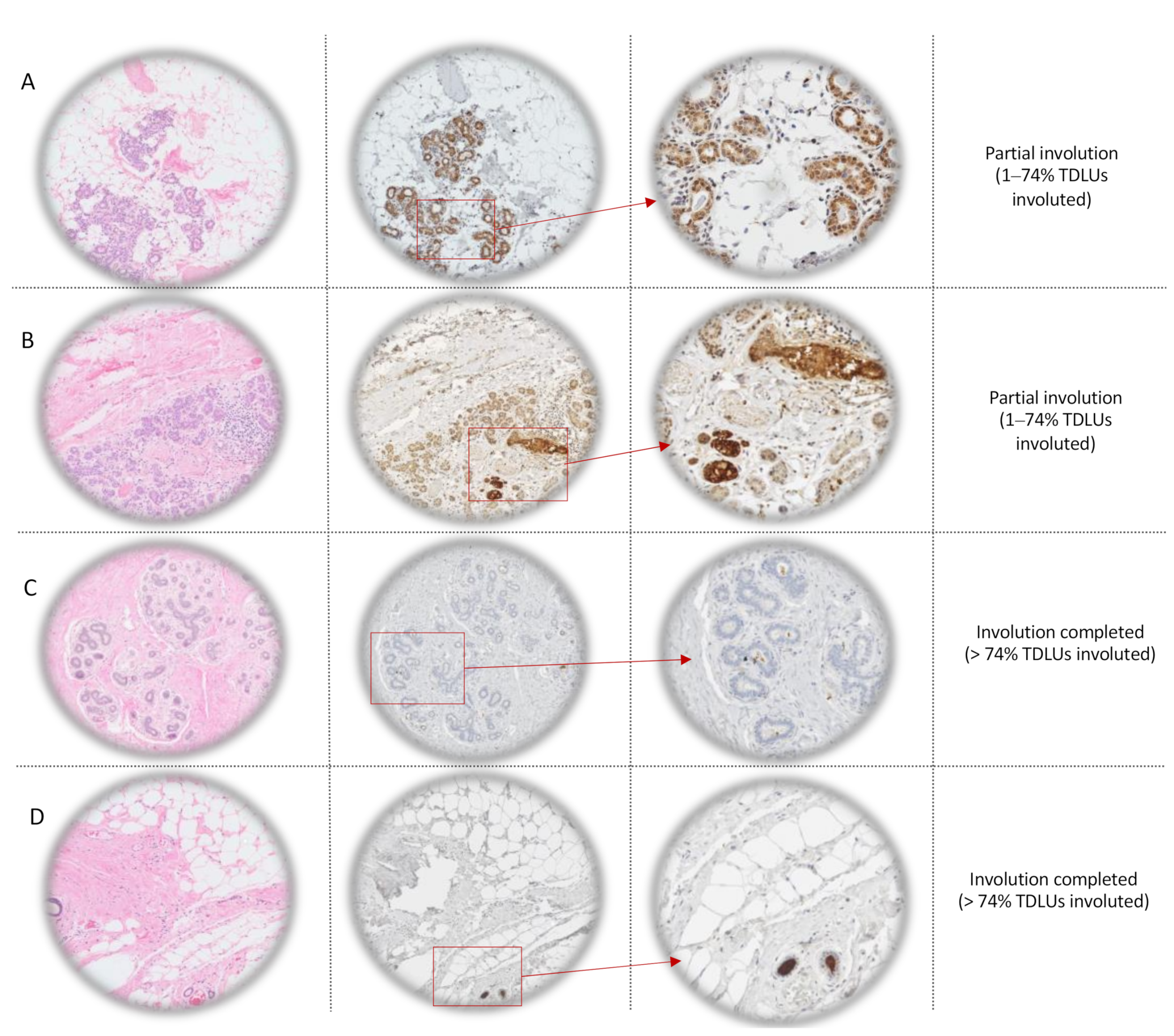 Cancers 12 02693 g001