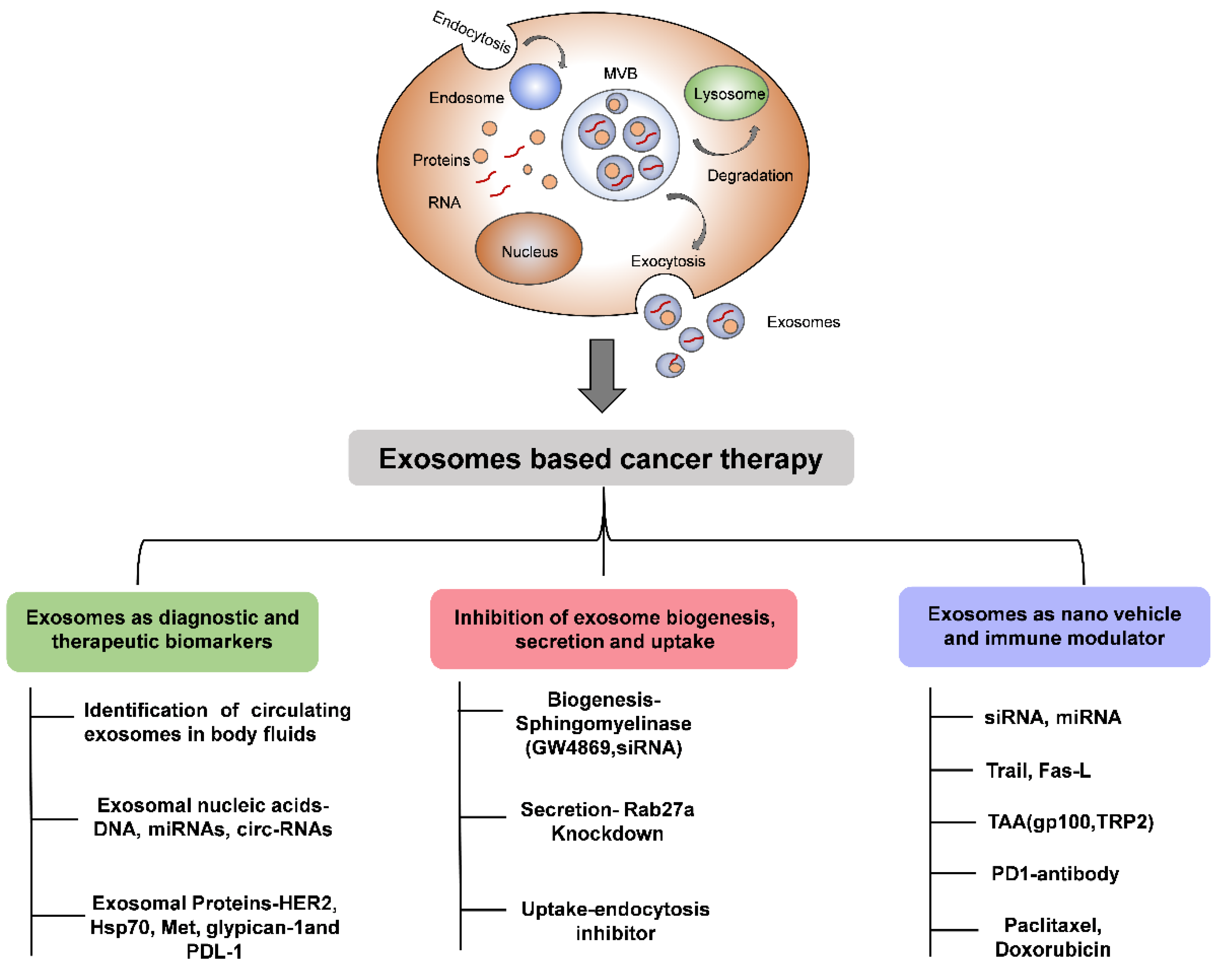 Cancers 12 03563 g002