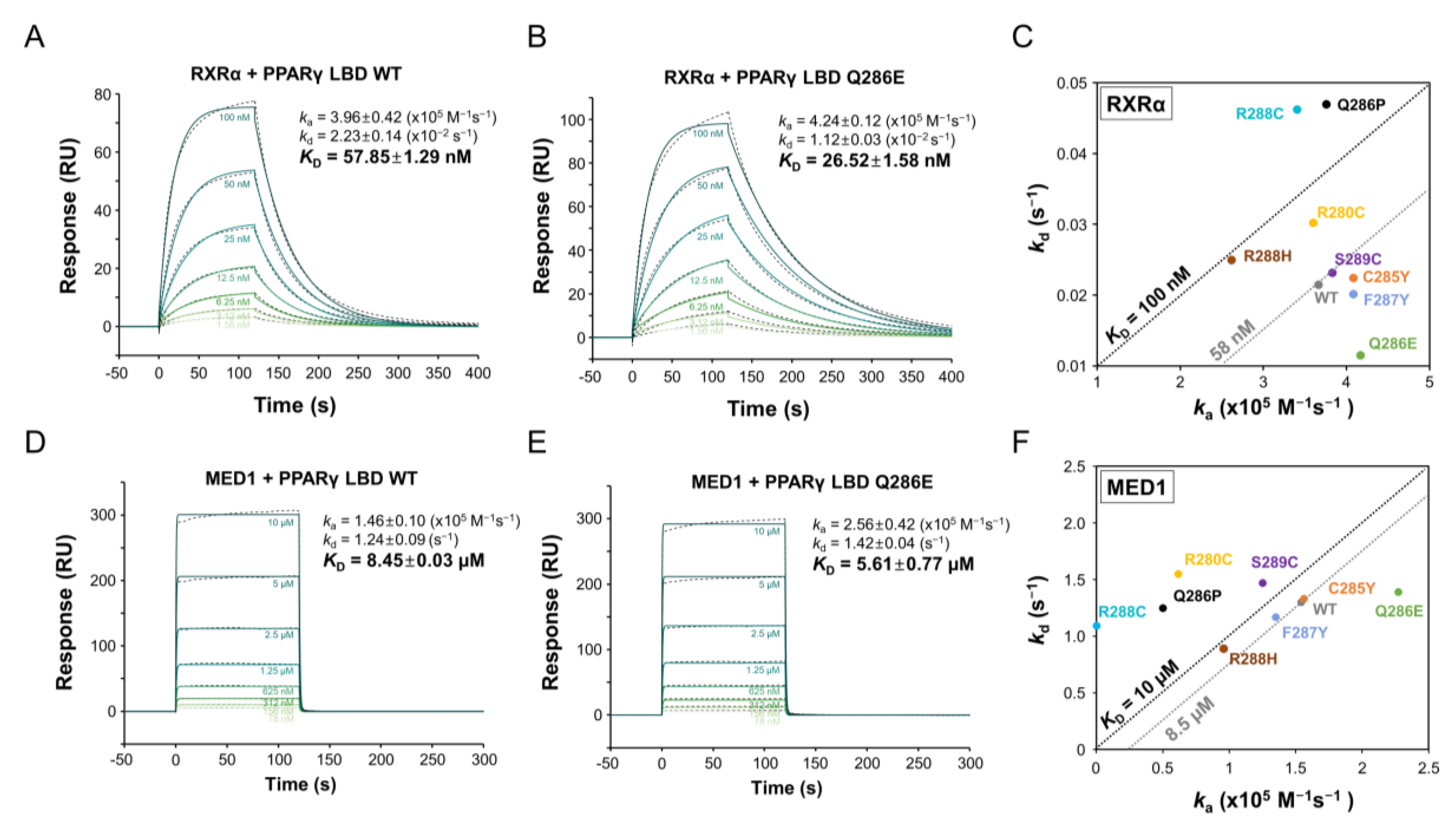 Cancers 12 03580 g003